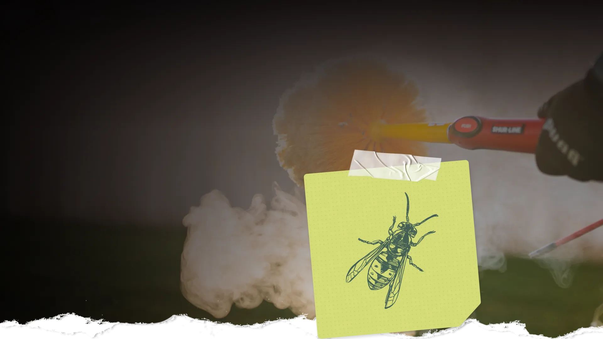 Bike cleaning brush with smoke in background and paper with insect illustration taped in foreground.