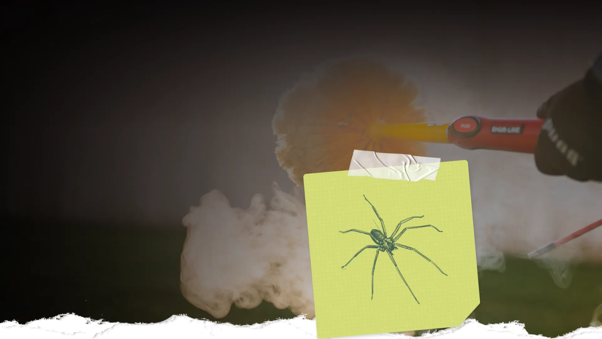Hand holding a scrub brush with steam rising, sticky note with a spider illustration taped in front