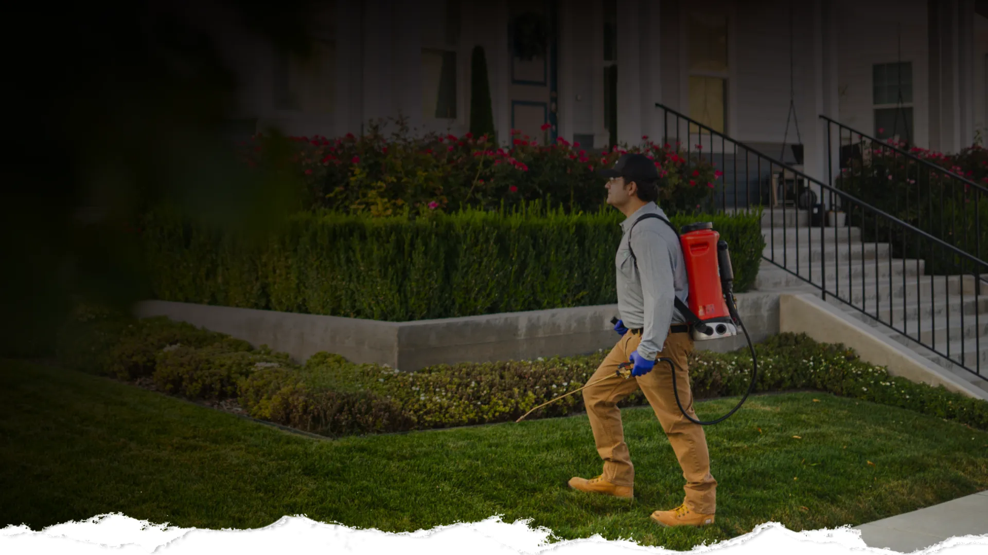 Professional gardener using a backpack sprayer to treat plants in a residential garden with green lawn and flowers.