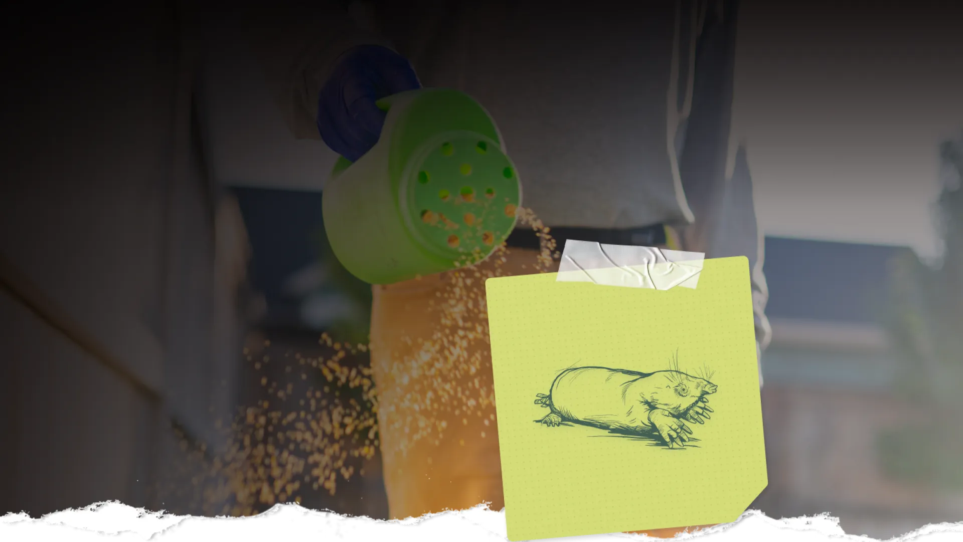Person sprinkling granular bait outdoors with illustration of a mole on sticky note