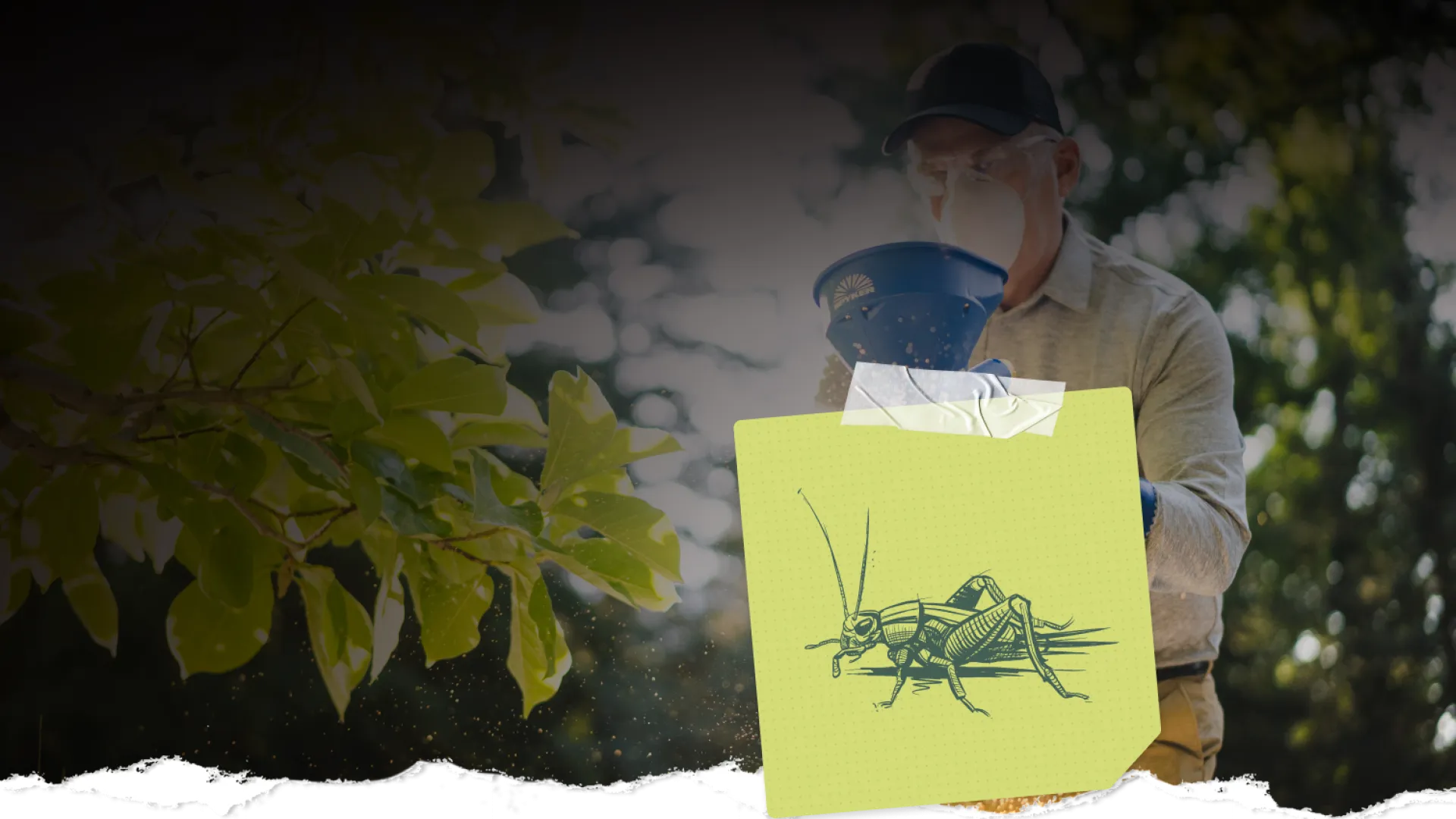 Man in protective gear spreading insecticide outdoors near green plants with cricket illustration sticky note in front.