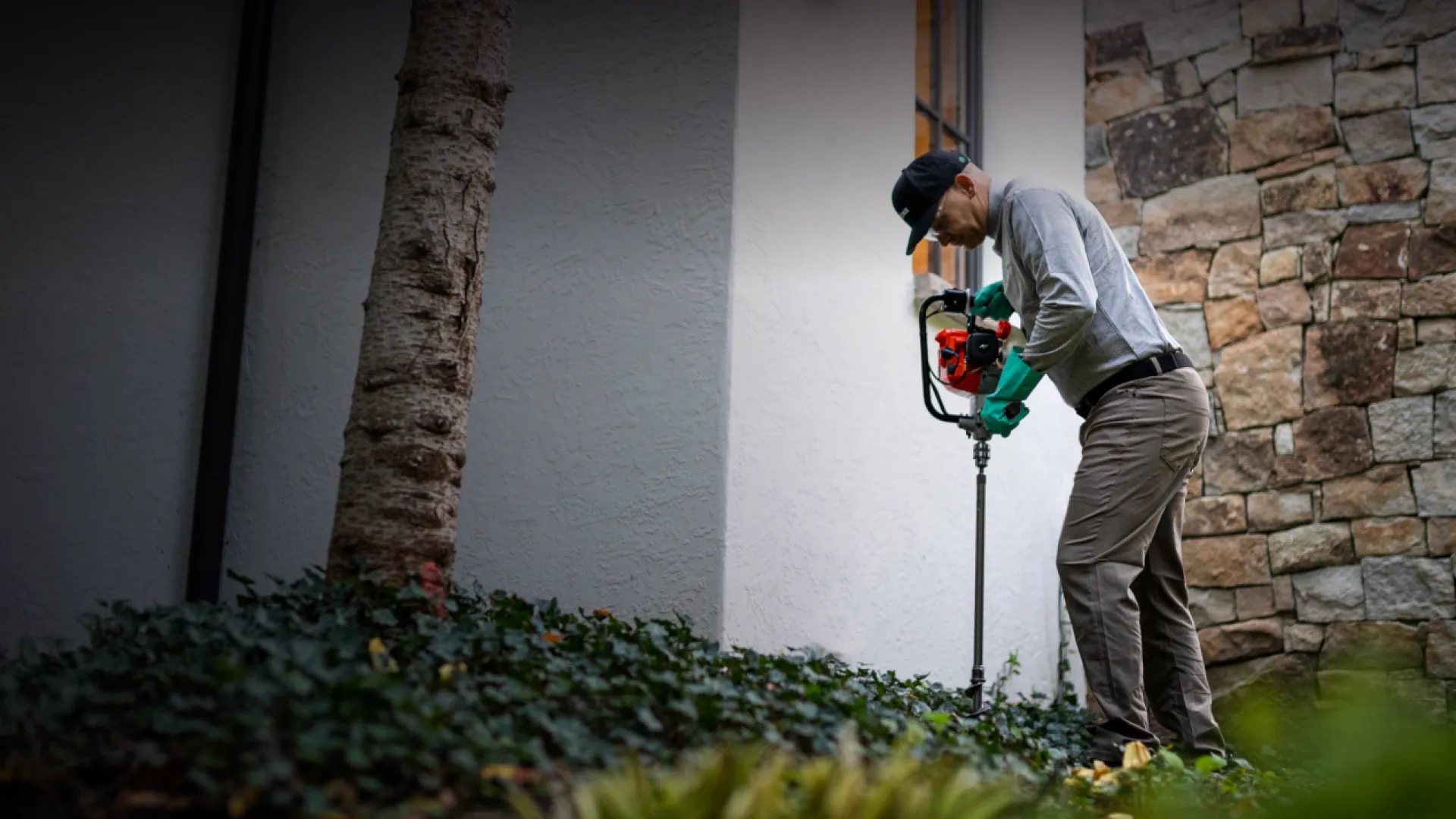 a technician treating shrubs for pests