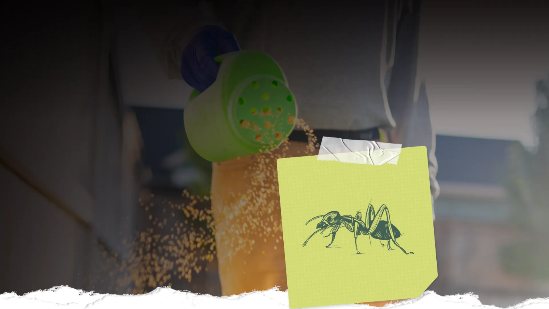 Person sprinkling granular ant bait from a green container with an ant illustration on a yellow note.