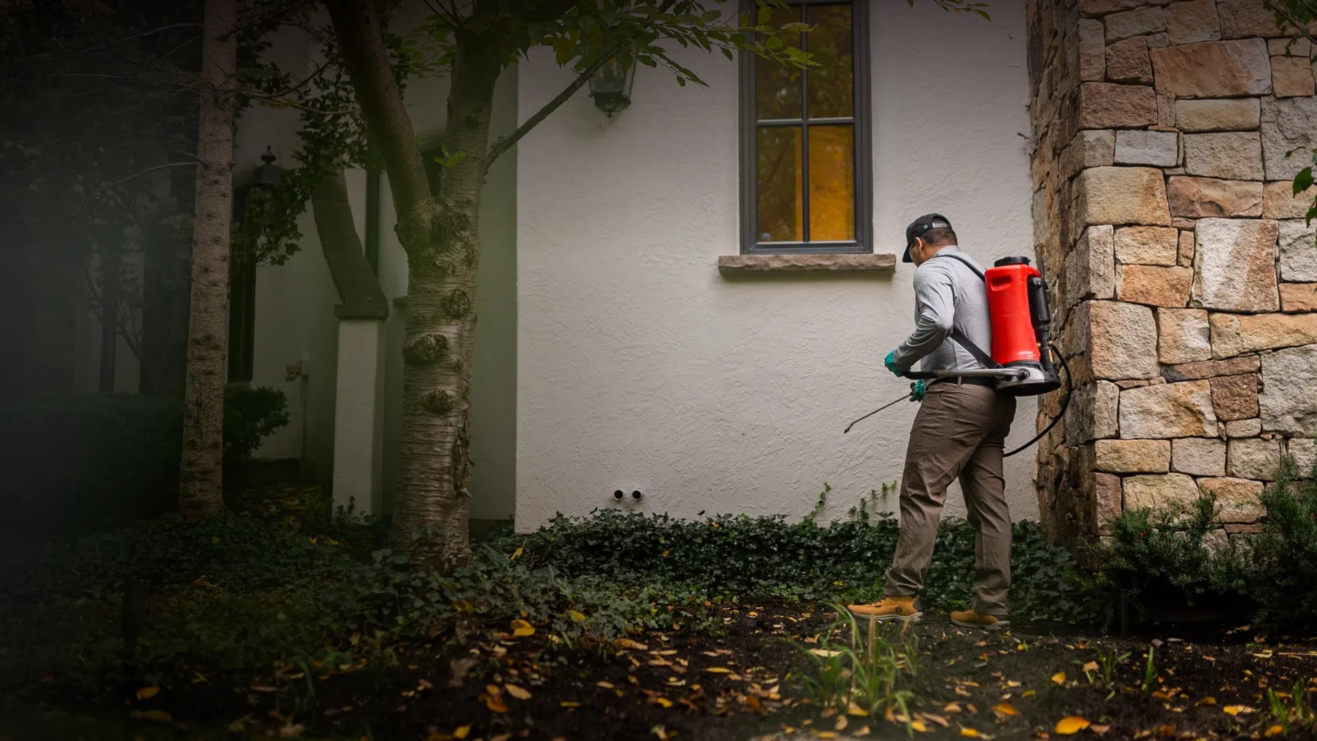 Professional applying pesticide with backpack sprayer near house wall and garden plants in daytime.