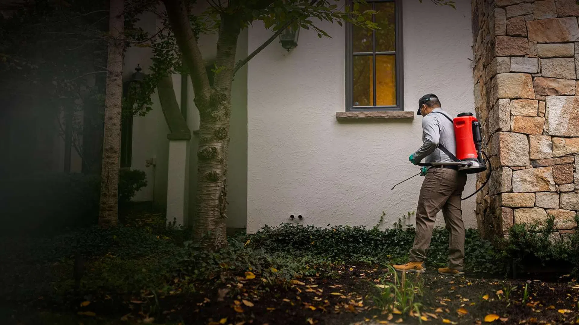 Worker wearing backpack sprayer applies pesticide to garden plants near stone and white house walls.