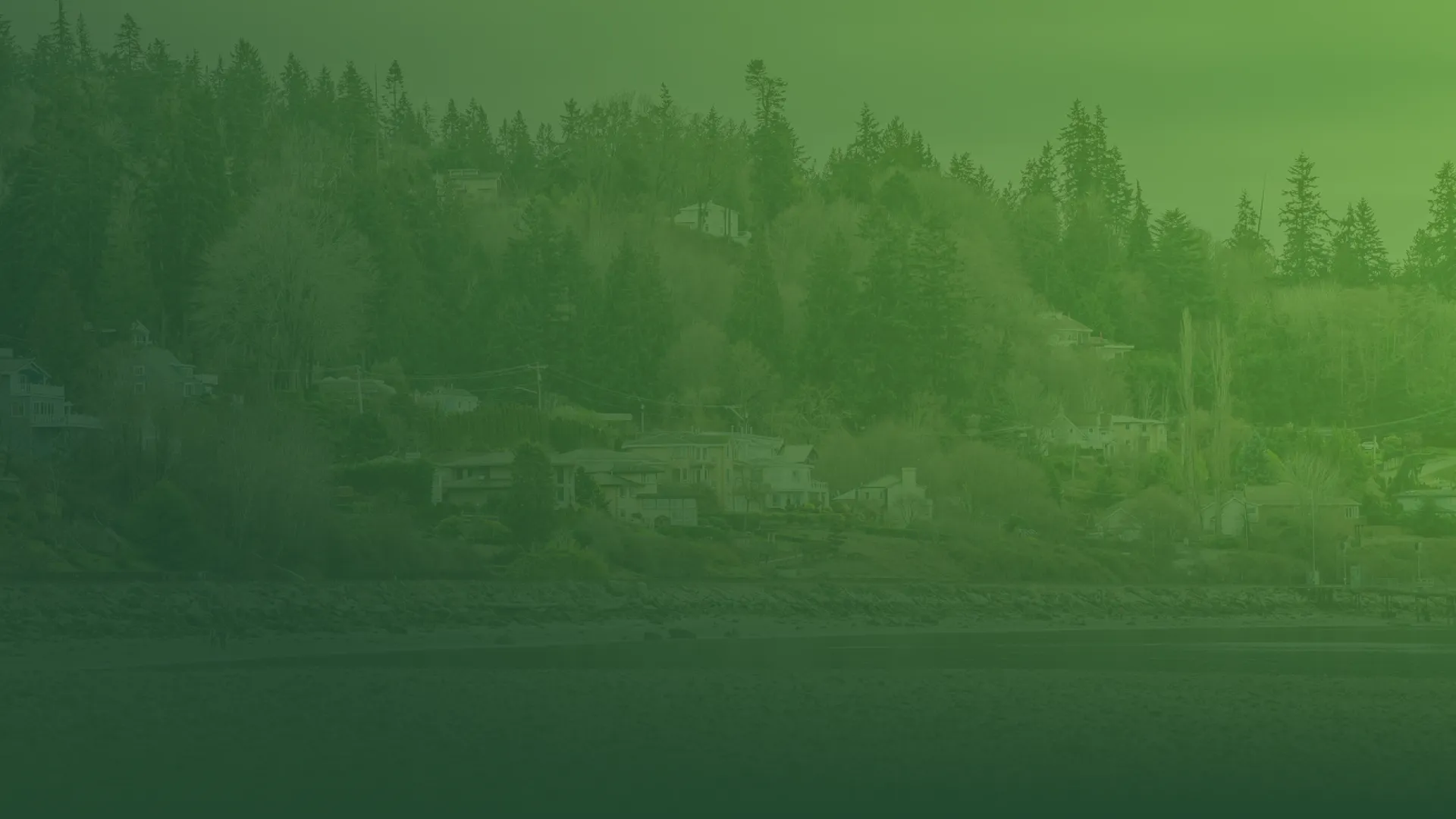 Riverfront houses nestled among tall pine trees on a hillside with a calm river in the foreground