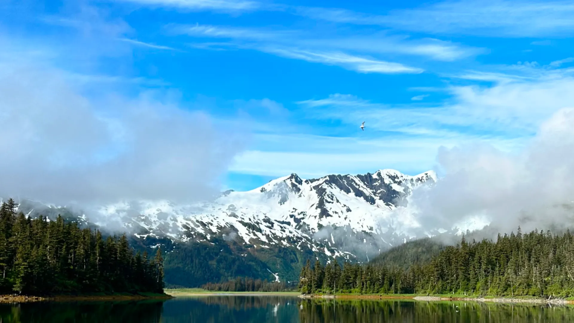 a mountain with snow