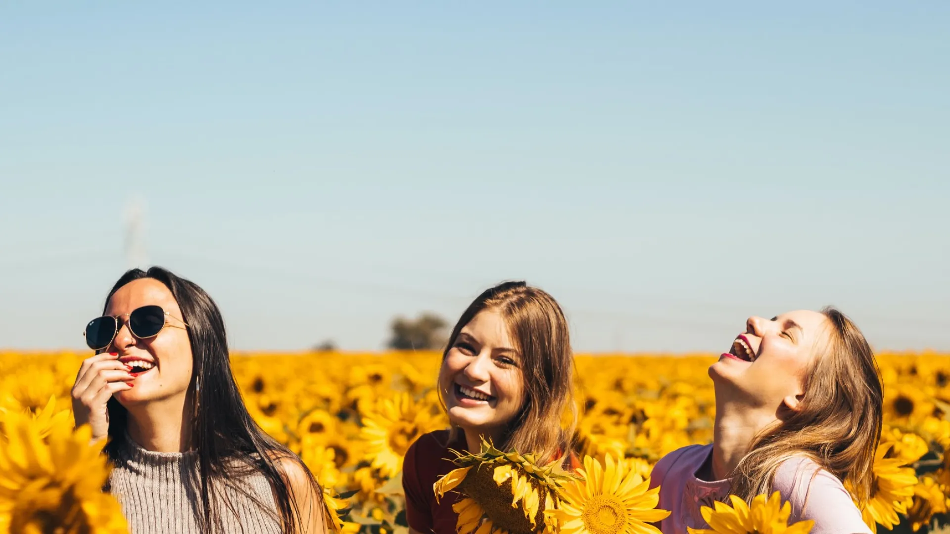 a group of women in a field of sunflowers