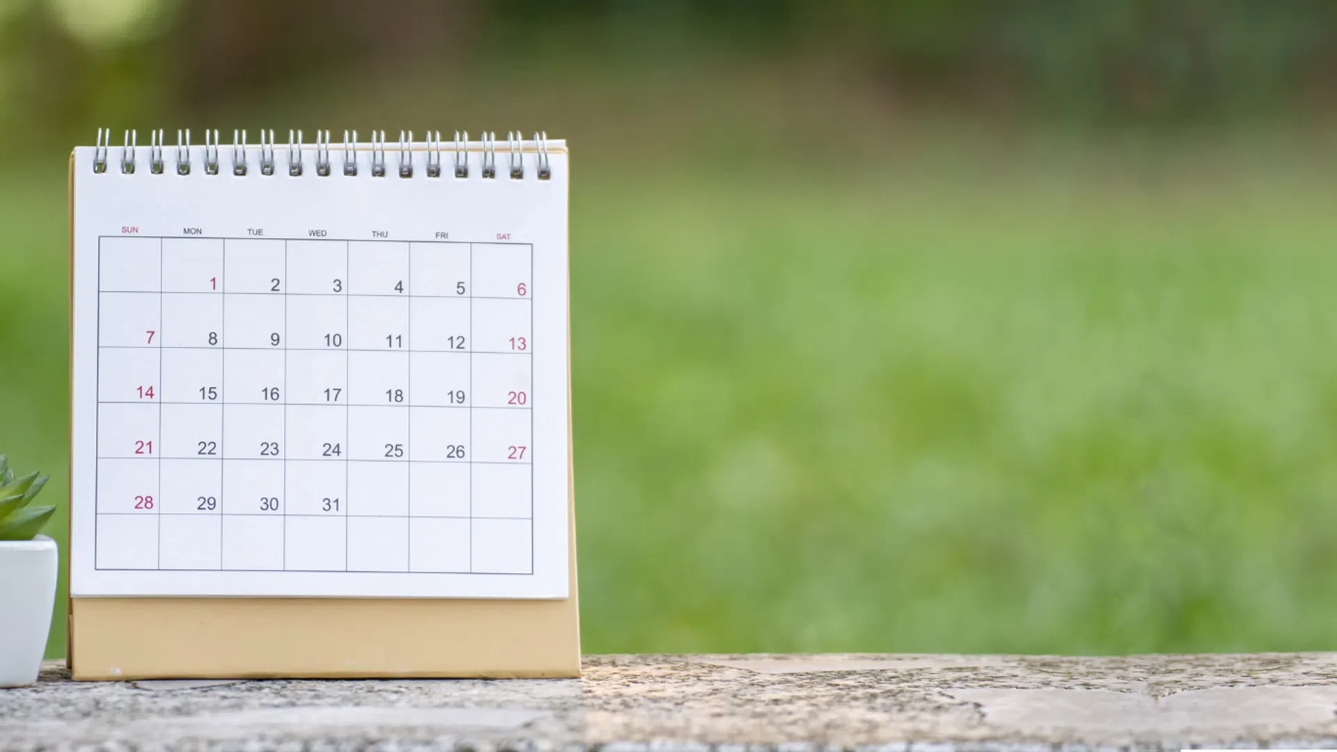 calendar