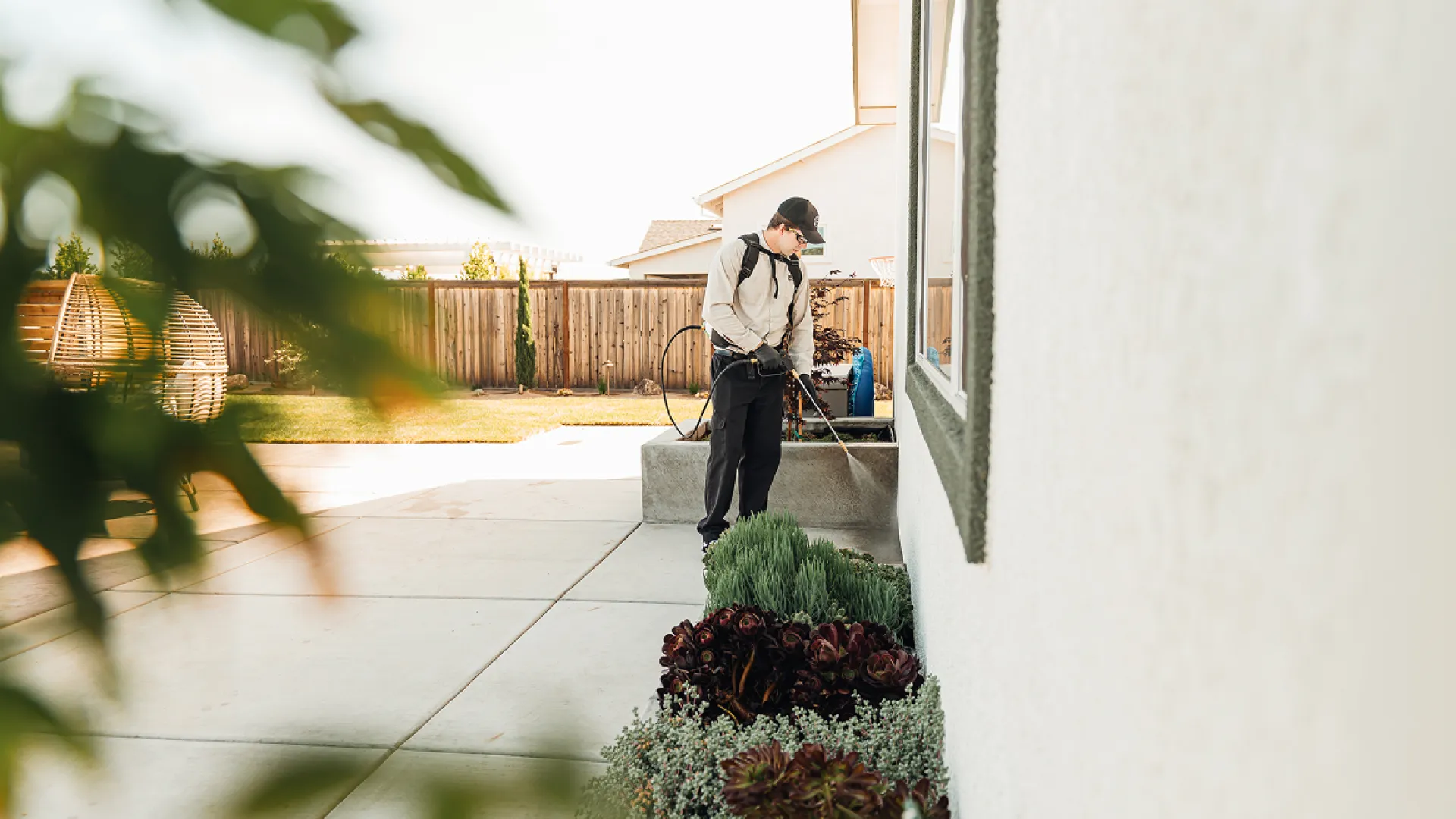 Man wearing protective gear spraying pesticide on plants alongside a house in a sunny backyard.