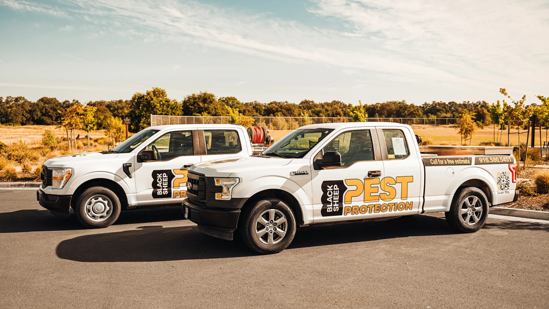 Two white Black Sheep Pest Protection trucks parked on an asphalt road with trees and fields in the background.