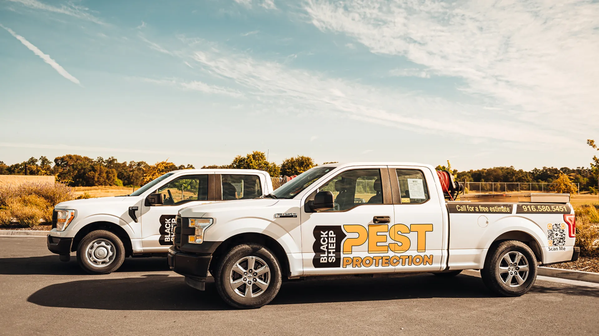 Two white Black Sheep Pest Protection pickup trucks parked side by side under a partly cloudy sky.
