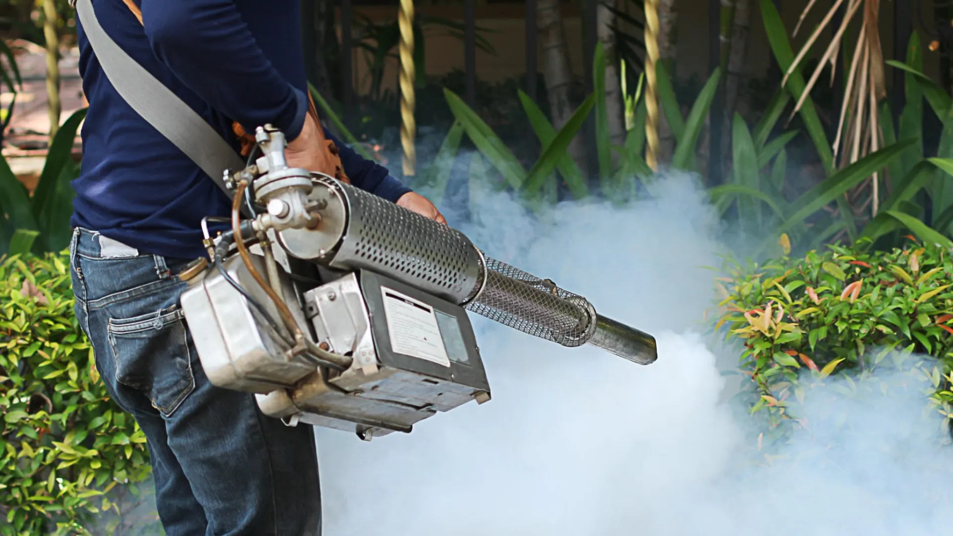A person using a fogging machine to spray insecticide in a garden, surrounded by greenery and smoke.