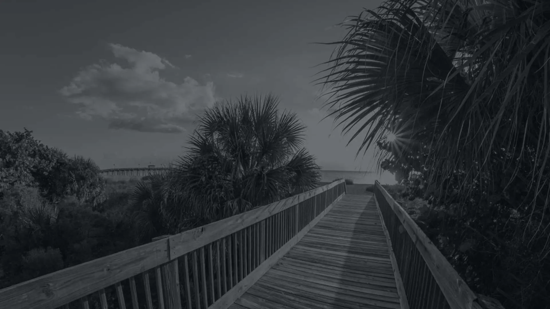 Wooden boardwalk leading through palm trees toward a beach under a partly cloudy sky at sunset.