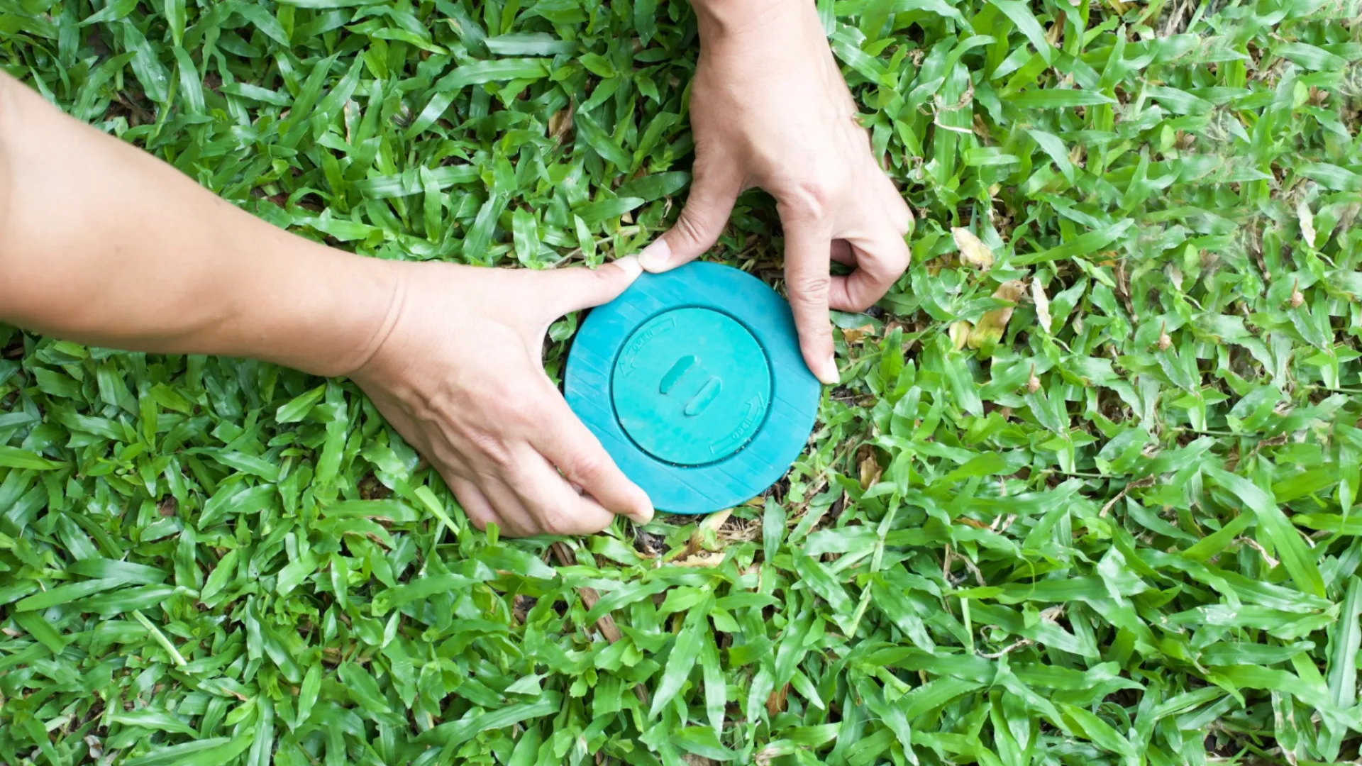 person holding a termite trap