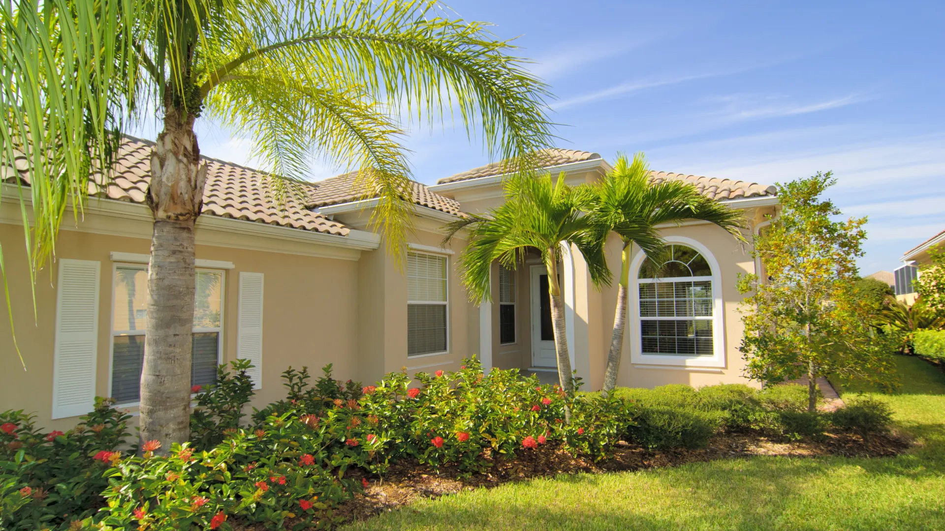 a house with palm trees and bushes