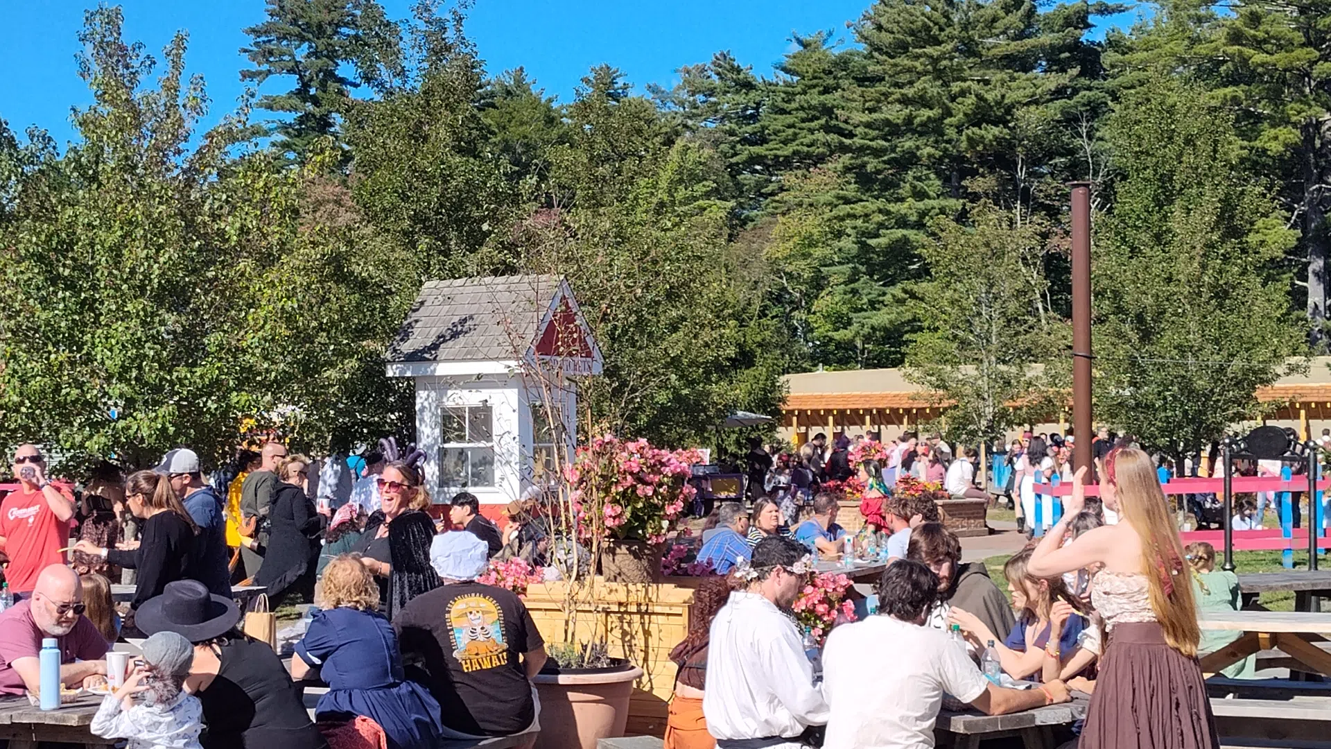 Crowd enjoying a sunny day at an outdoor festival with trees, flowers, and picnic tables in a park