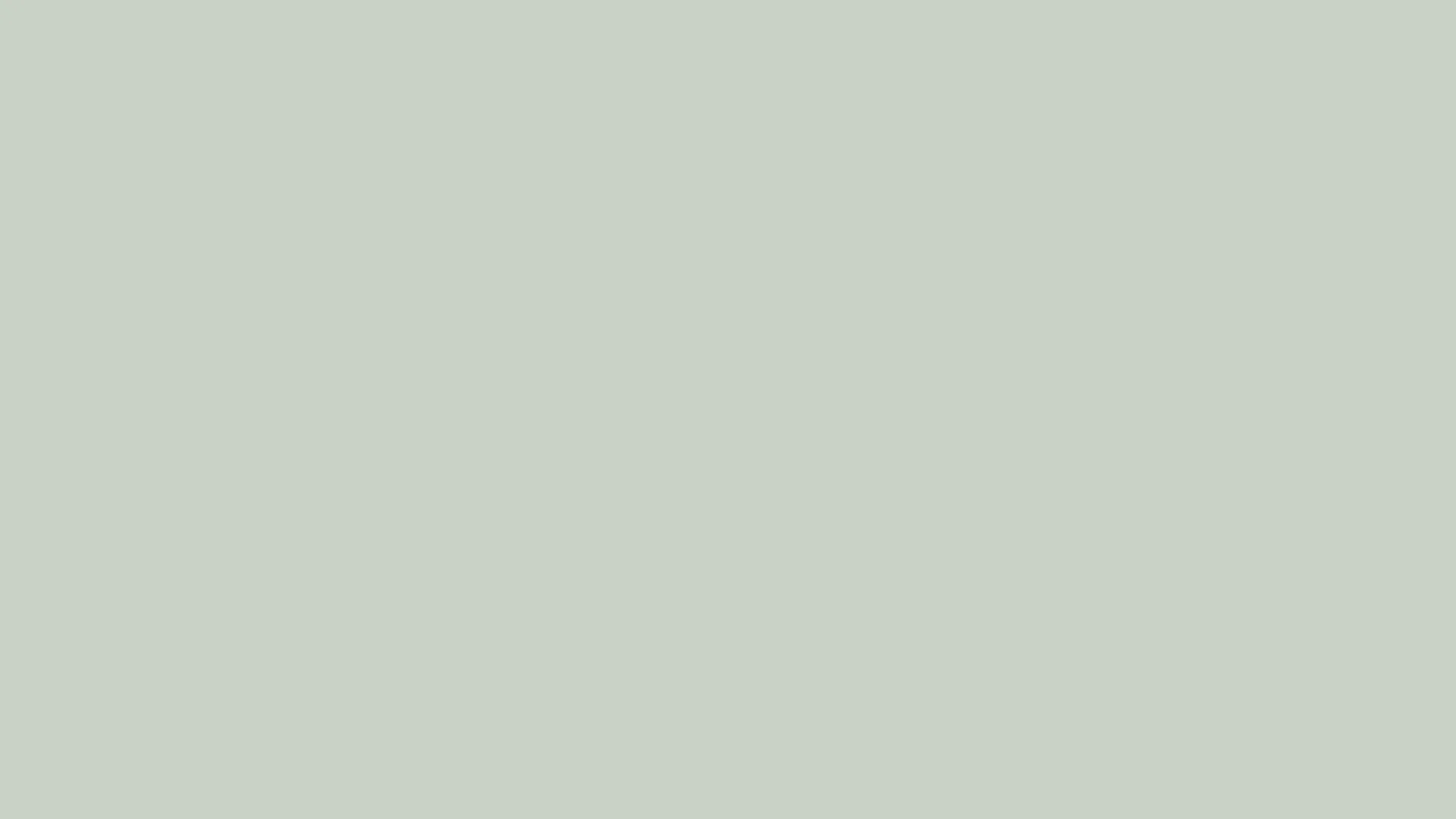 Solid muted sage green color background with no patterns or objects visible.