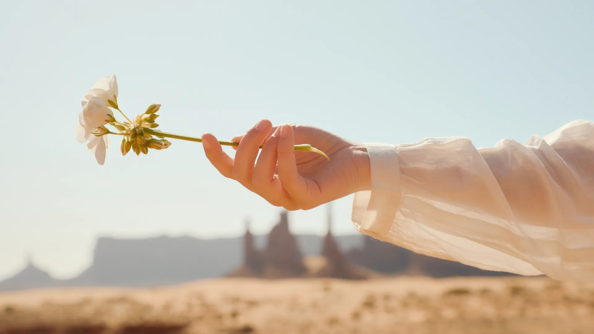 Hand holding a delicate white flower in a sheer sleeve against a desert landscape with rock formations under blue sky.