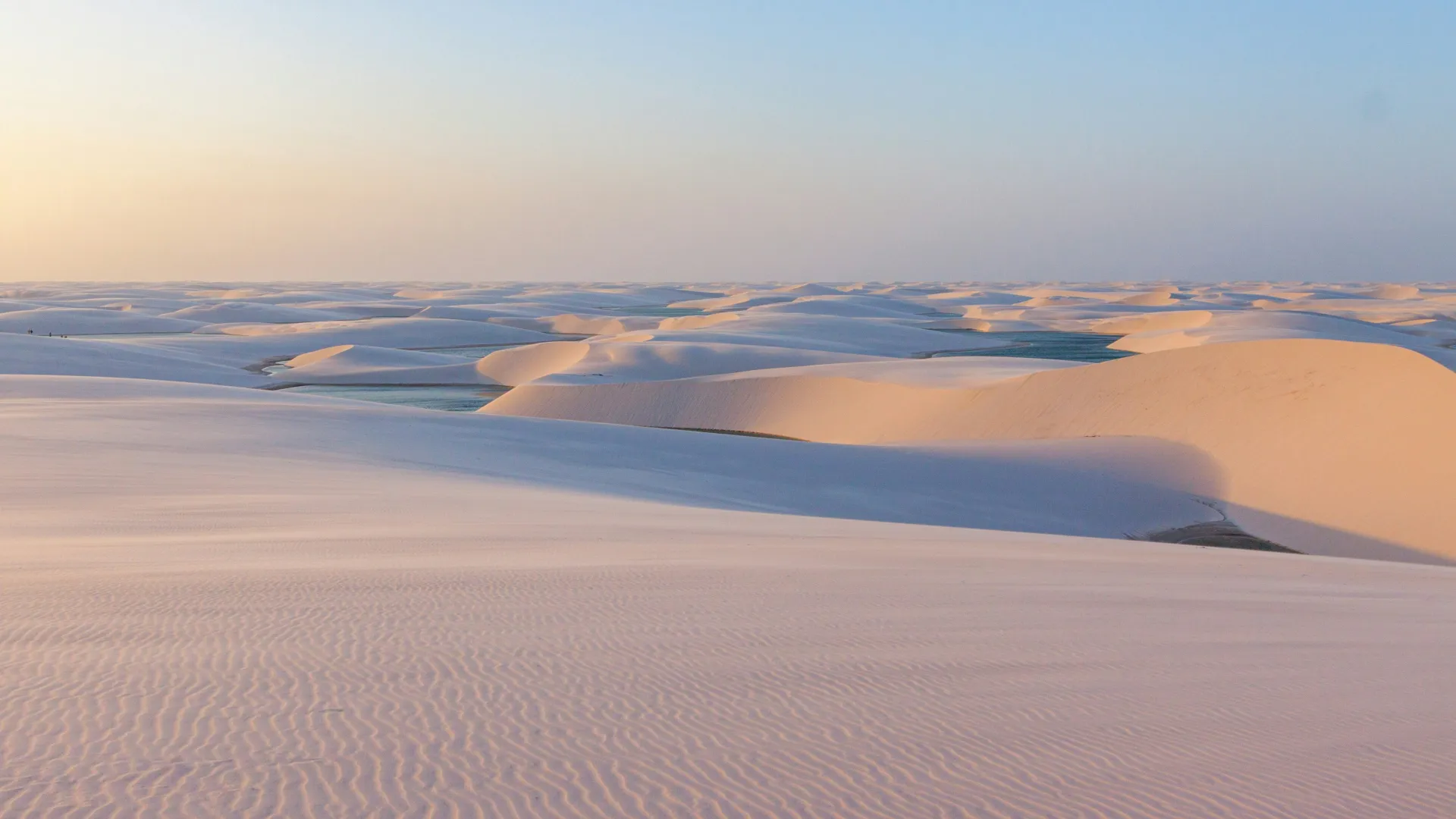 Vast desert landscape with rolling sand dunes under a clear sky during sunrise or sunset