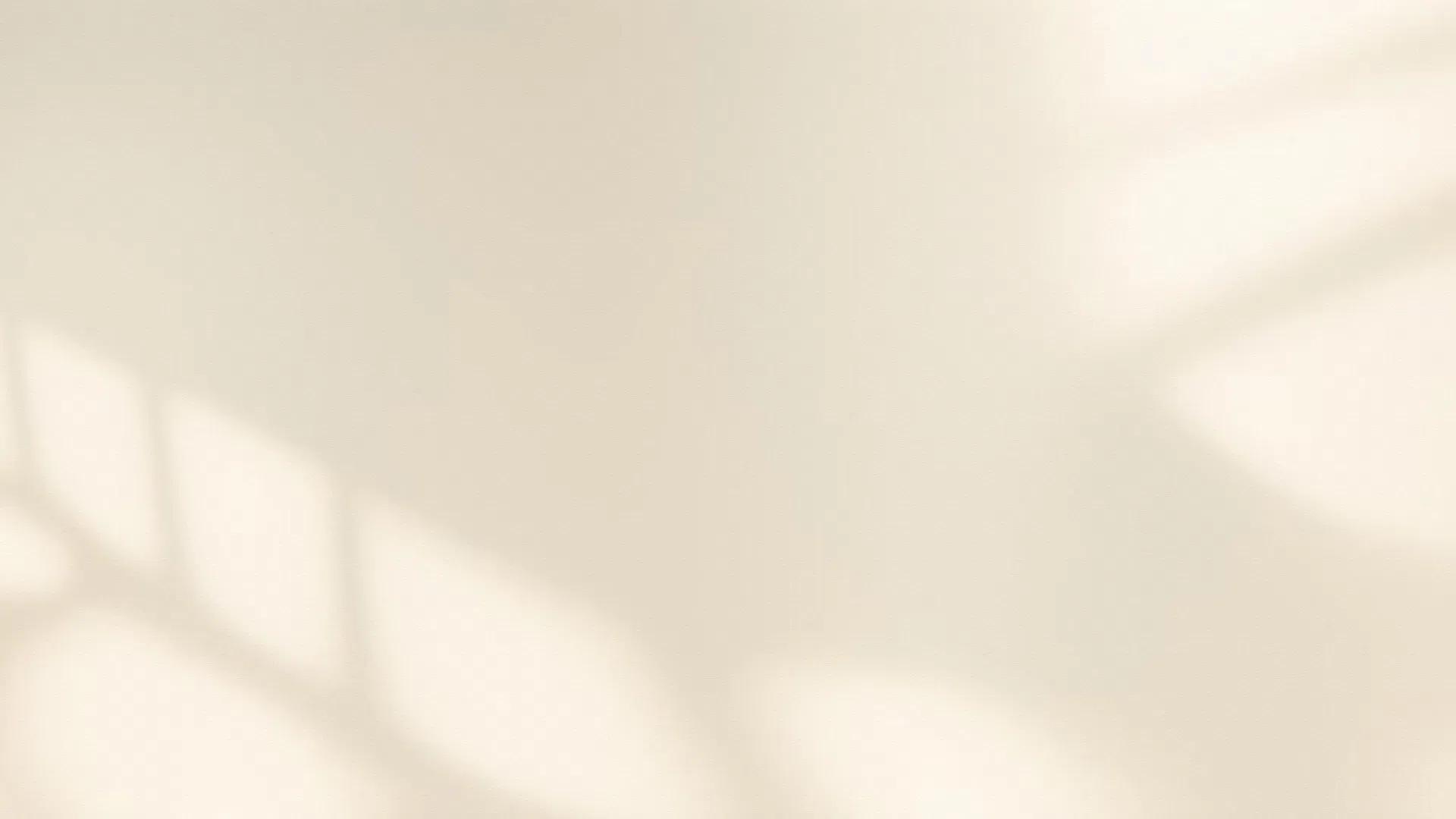 Soft sunlight casts window shadows on a beige wall creating a warm minimalist atmosphere.