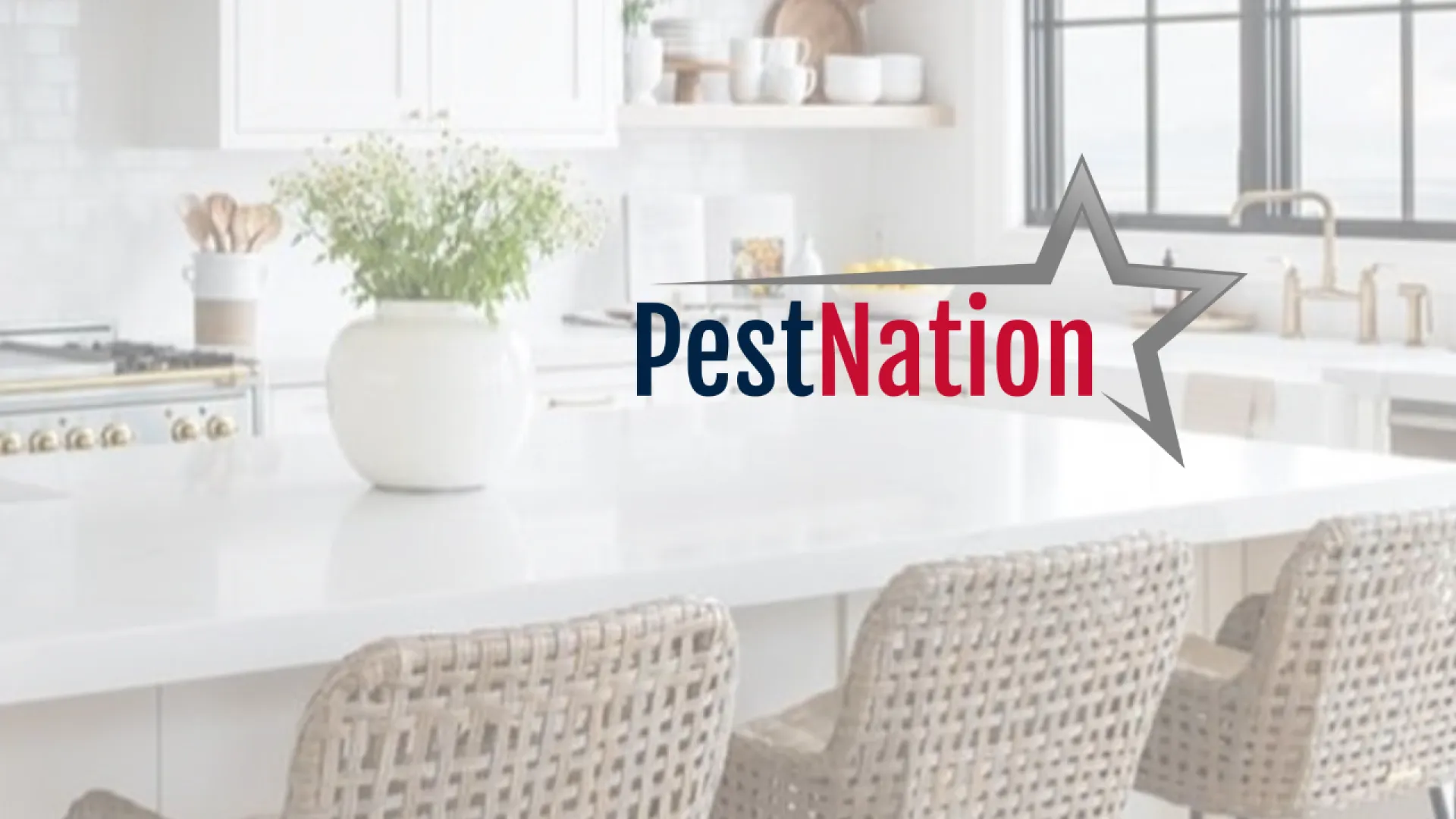 Modern kitchen interior featuring a prominent PestNation logo and stylish decor.