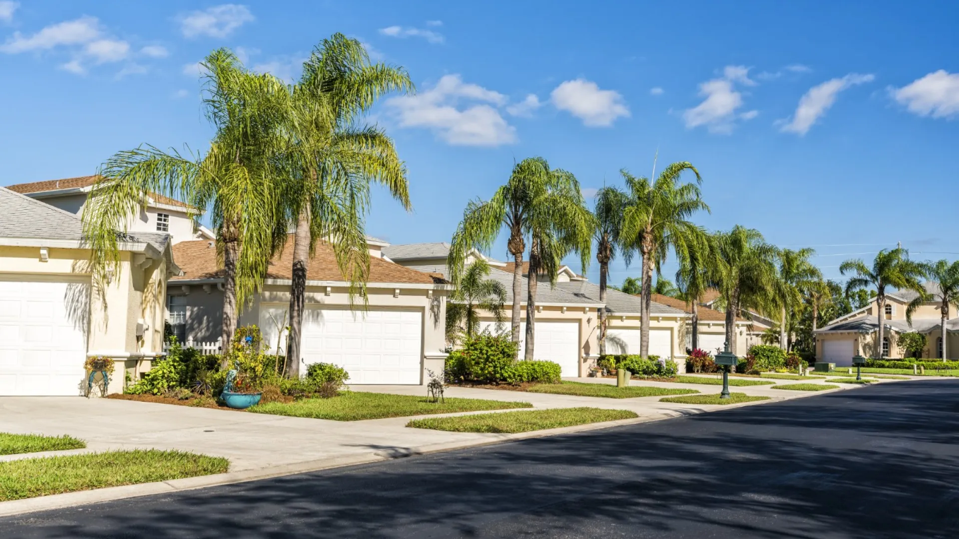 houses with palm trees in front