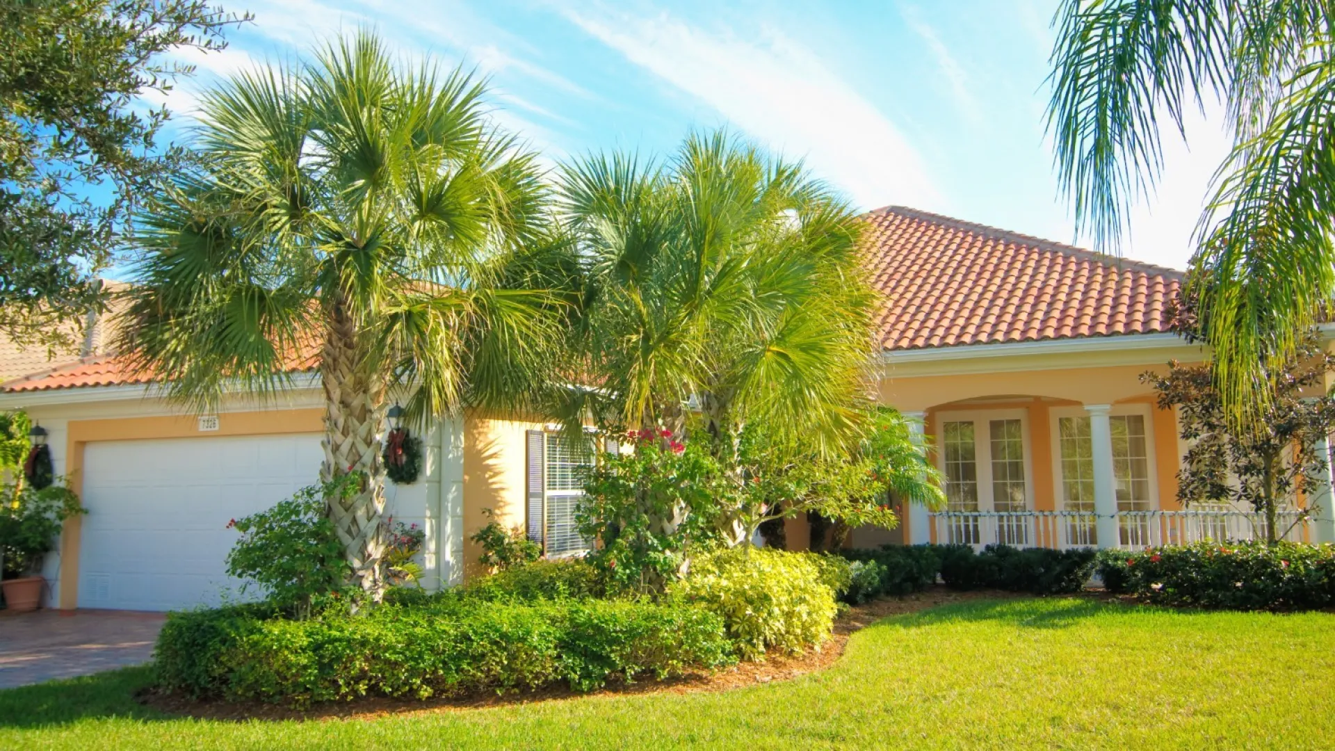 a palm tree in front of a house