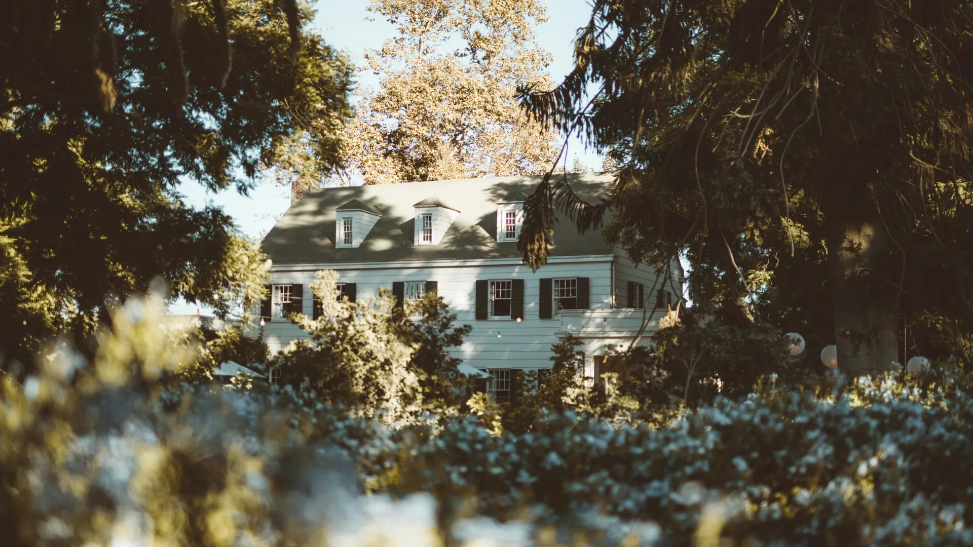 White colonial house partially hidden behind lush green trees and foliage on a sunny day.
