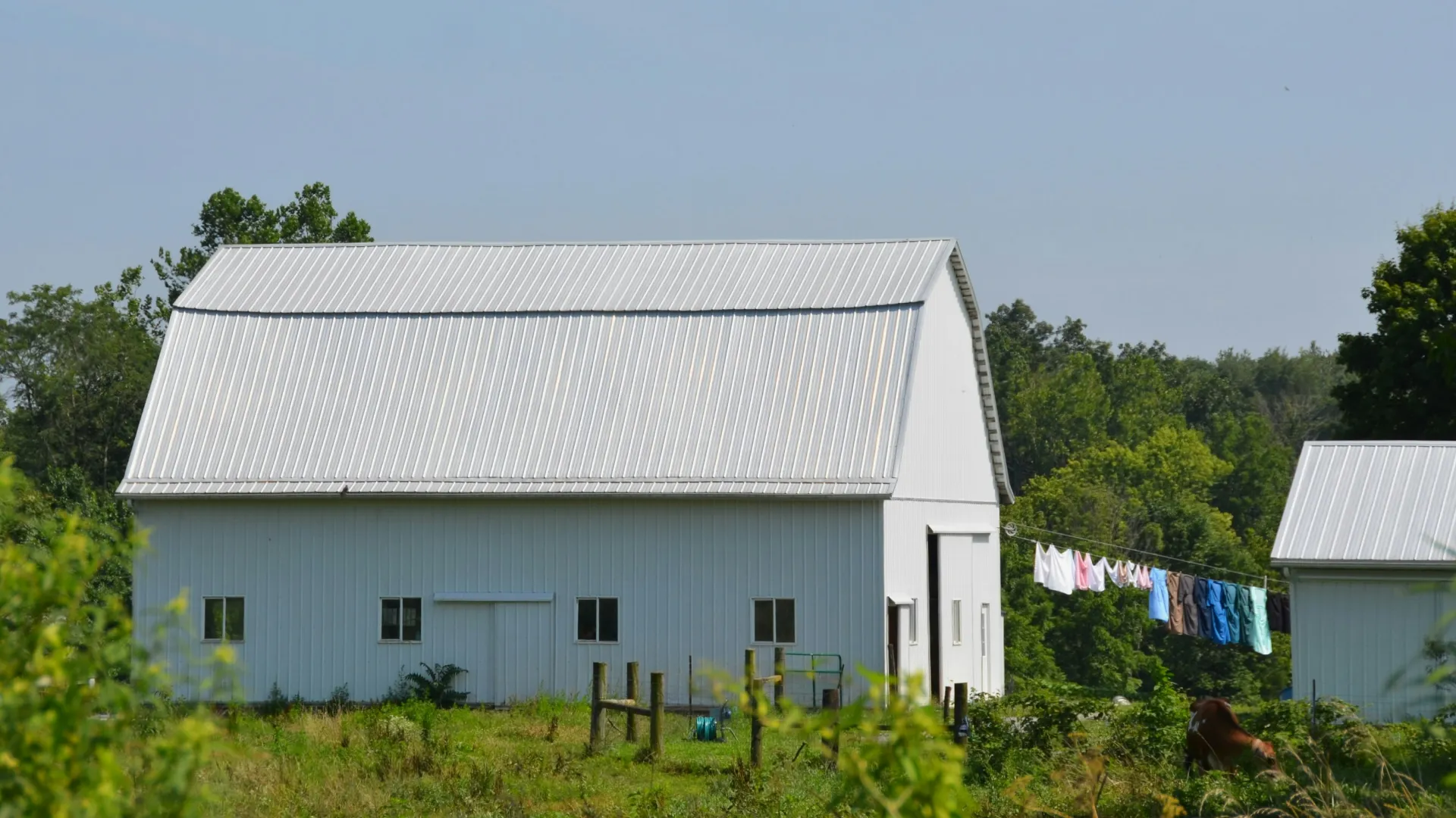 White barn with metal roof in rural setting, clothes hanging on line, surrounded by greenery and trees under clear sky