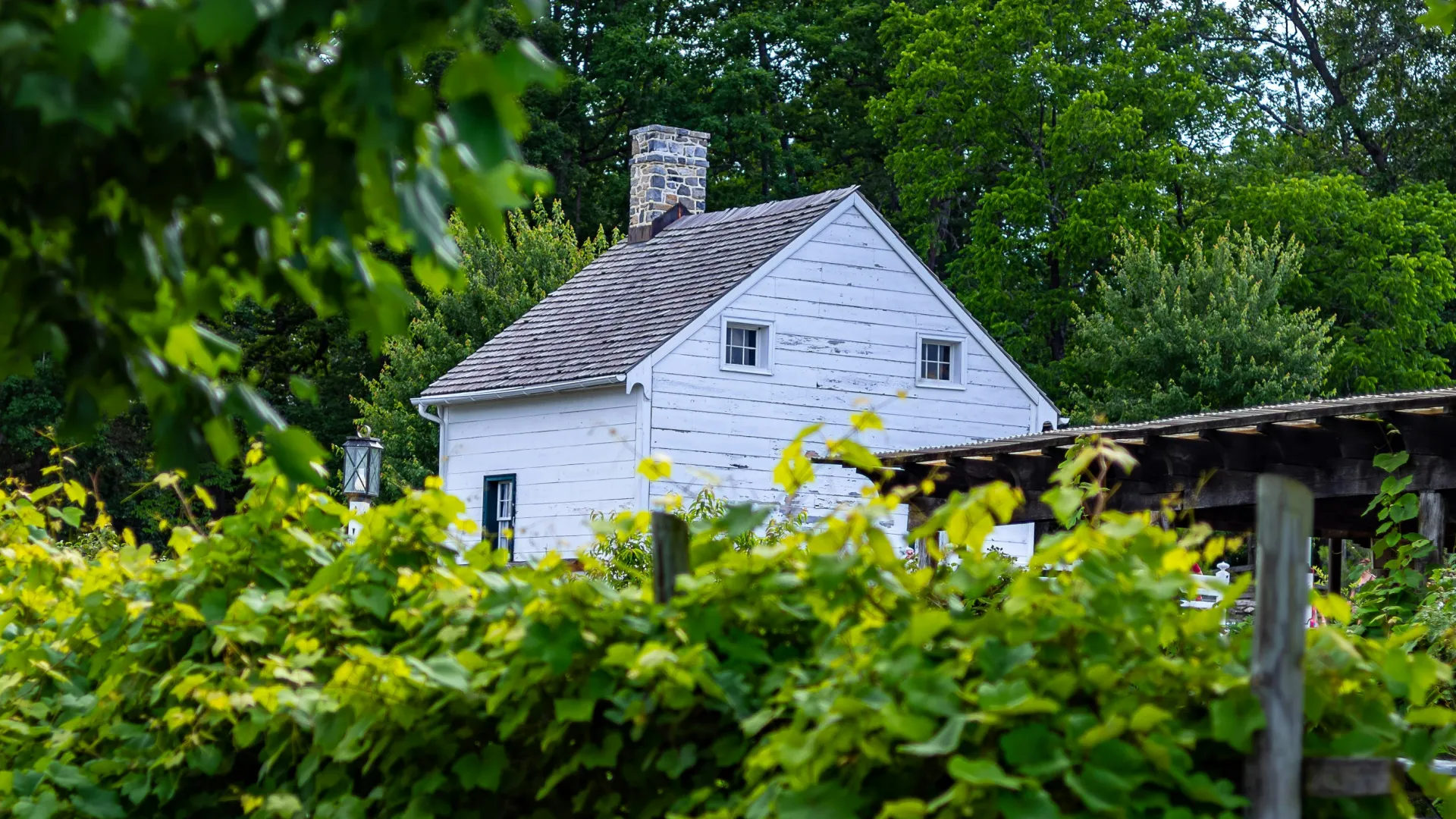 a house surrounded by trees