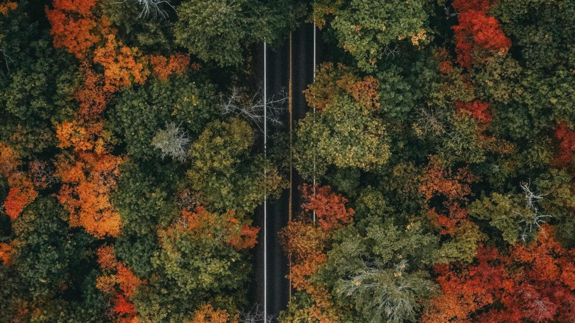 Home Inspectors in Wood, TN, McMinn County, 37874 Home Inspections, Certified Home Inspectors, Residential and Commercial Home Inspections in Wood, TN, McMinn County, 37874