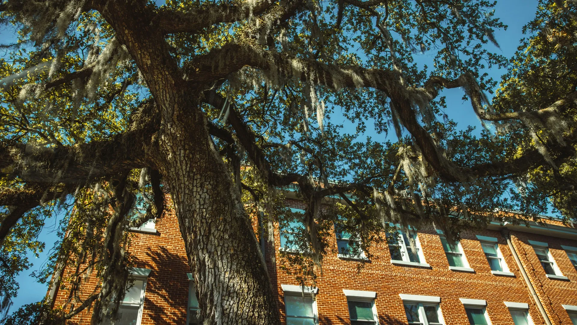 Home Inspectors in Chickamauga, GA, Walker County, 30707 Home Inspections, Certified Home Inspectors, Residential and Commercial Home Inspections in Chickamauga, GA, Walker County, 30707