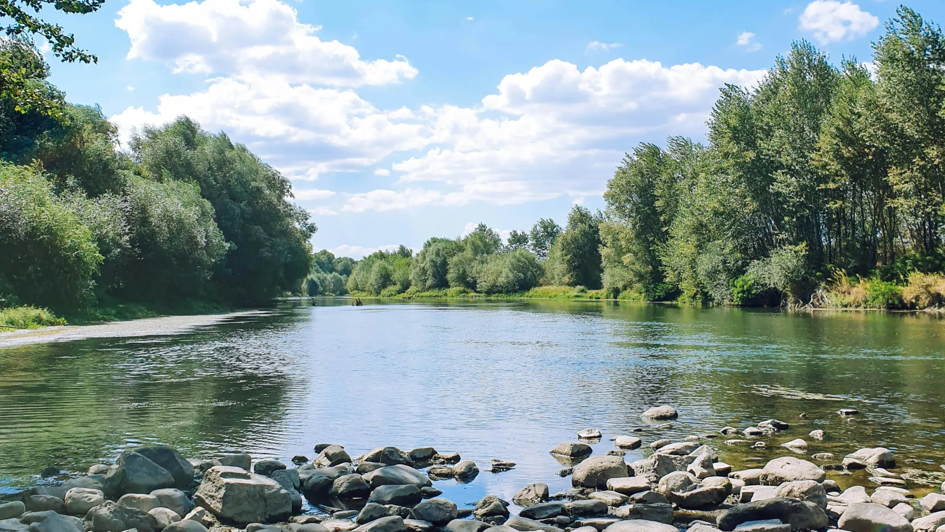 Clear river flowing through rocky banks under blue sky with white clouds and green trees on both sides.