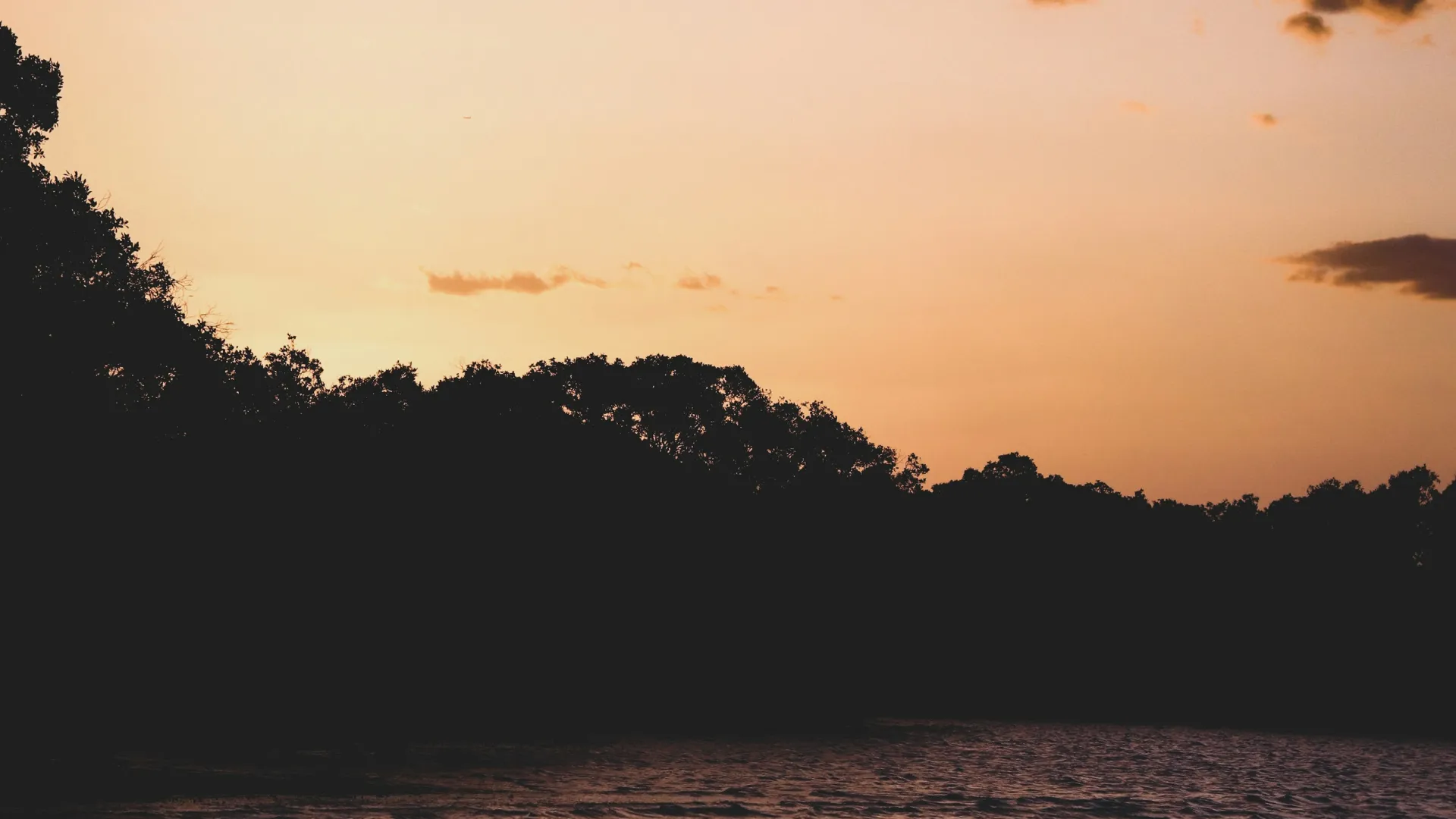 Home Inspectors in Patrick, SC, Chesterfield, 29584 Home Inspections, Certified Home Inspectors, Residential and Commercial Home Inspections in Patrick, SC, Chesterfield, 29584