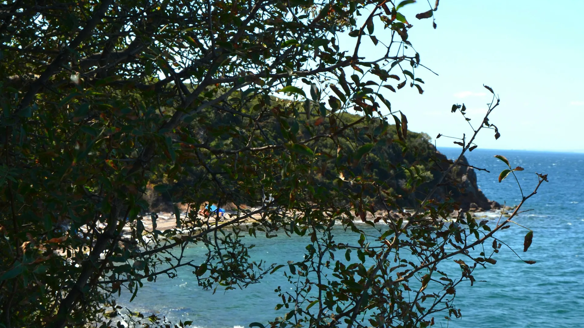 Home Inspectors in Walnut Cove, NC, Stokes, 27052 Home Inspections, Certified Home Inspectors, Residential and Commercial Home Inspections in Walnut Cove, NC, Stokes, 27052