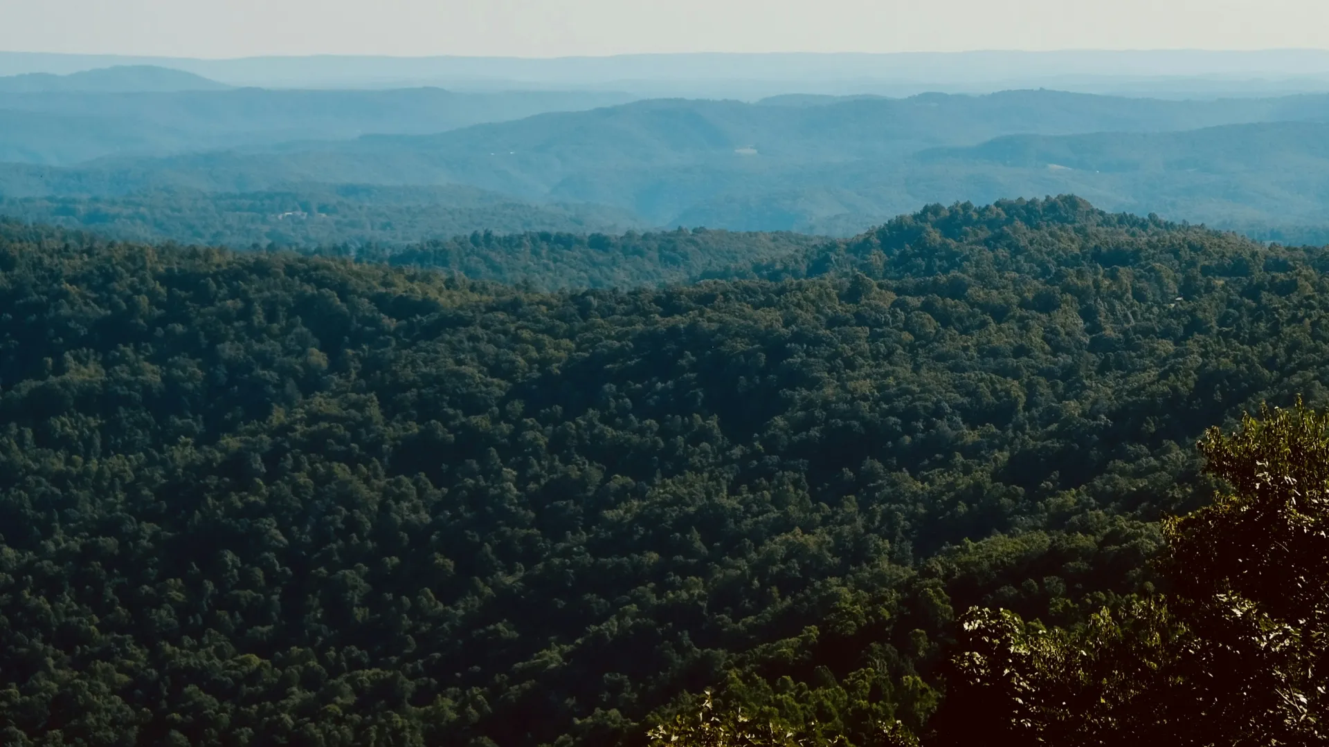 Home Inspectors in Tobaccoville, NC, Forsyth, 27050 Home Inspections, Certified Home Inspectors, Residential and Commercial Home Inspections in Tobaccoville, NC, Forsyth, 27050