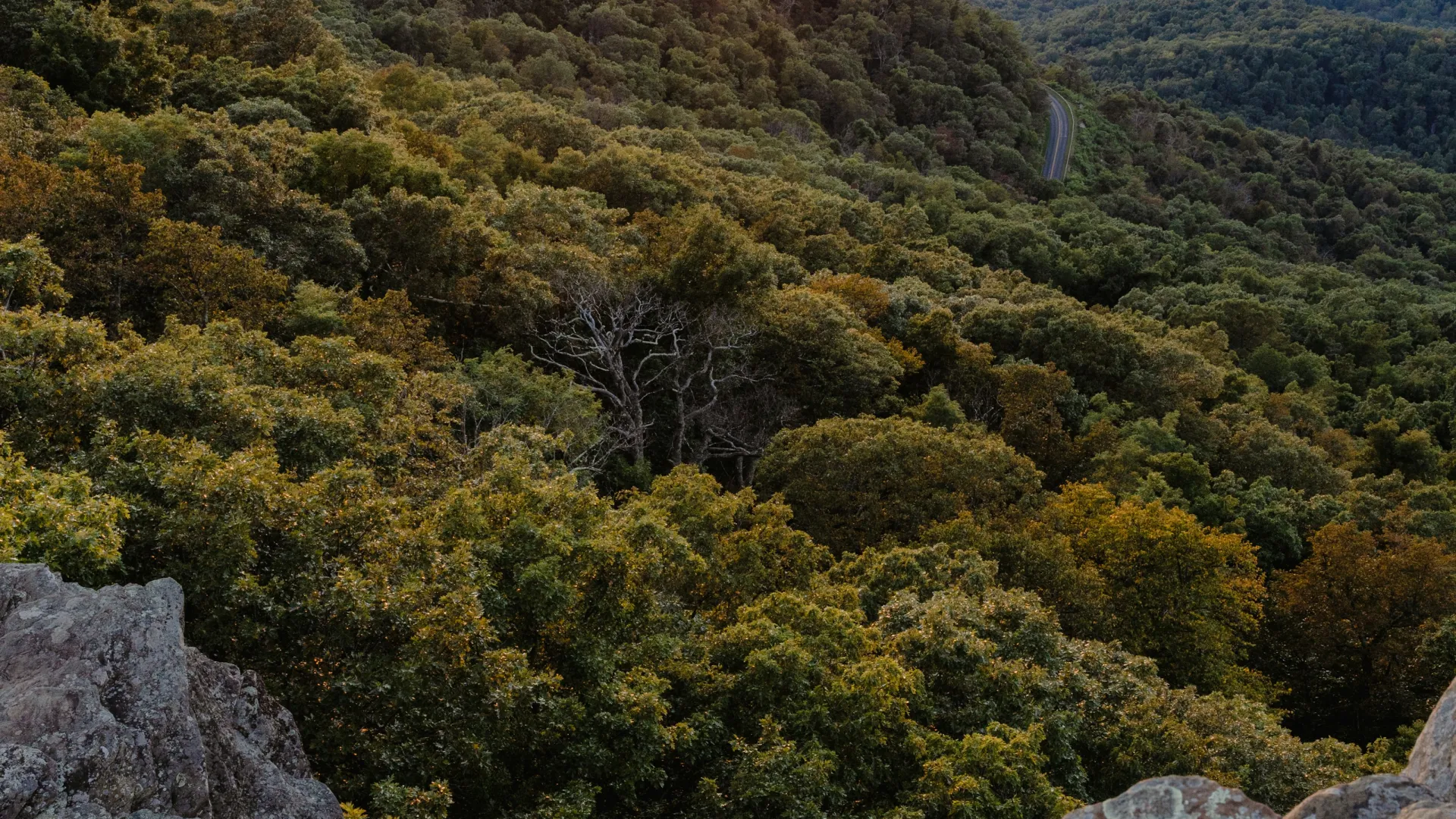 Home Inspectors in Armenia, SC, Chester, 29706 Home Inspections, Certified Home Inspectors, Residential and Commercial Home Inspections in Armenia, SC, Chester, 29706