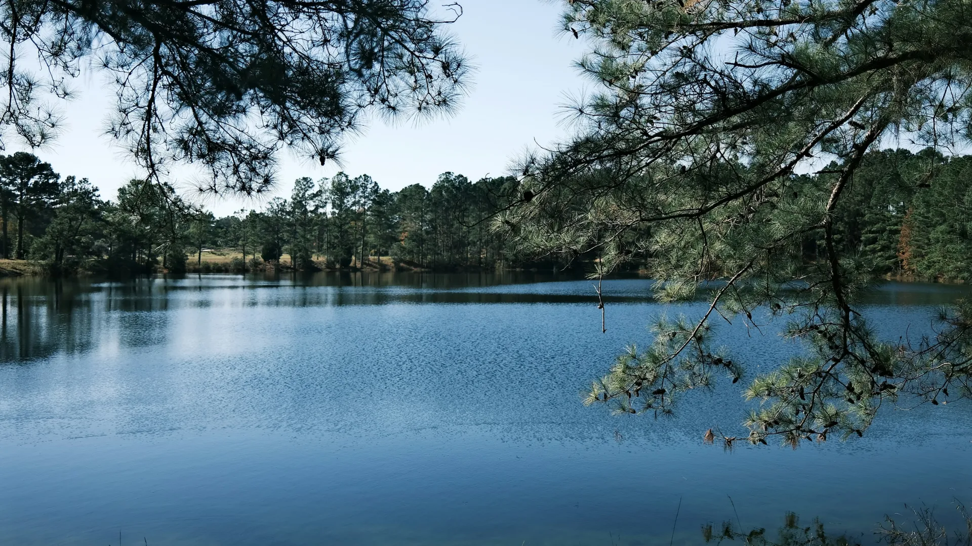 Home Inspectors in Butler, GA, Taylor County, 31006 Home Inspections, Certified Home Inspectors, Residential and Commercial Home Inspections in Butler, GA, Taylor County, 31006