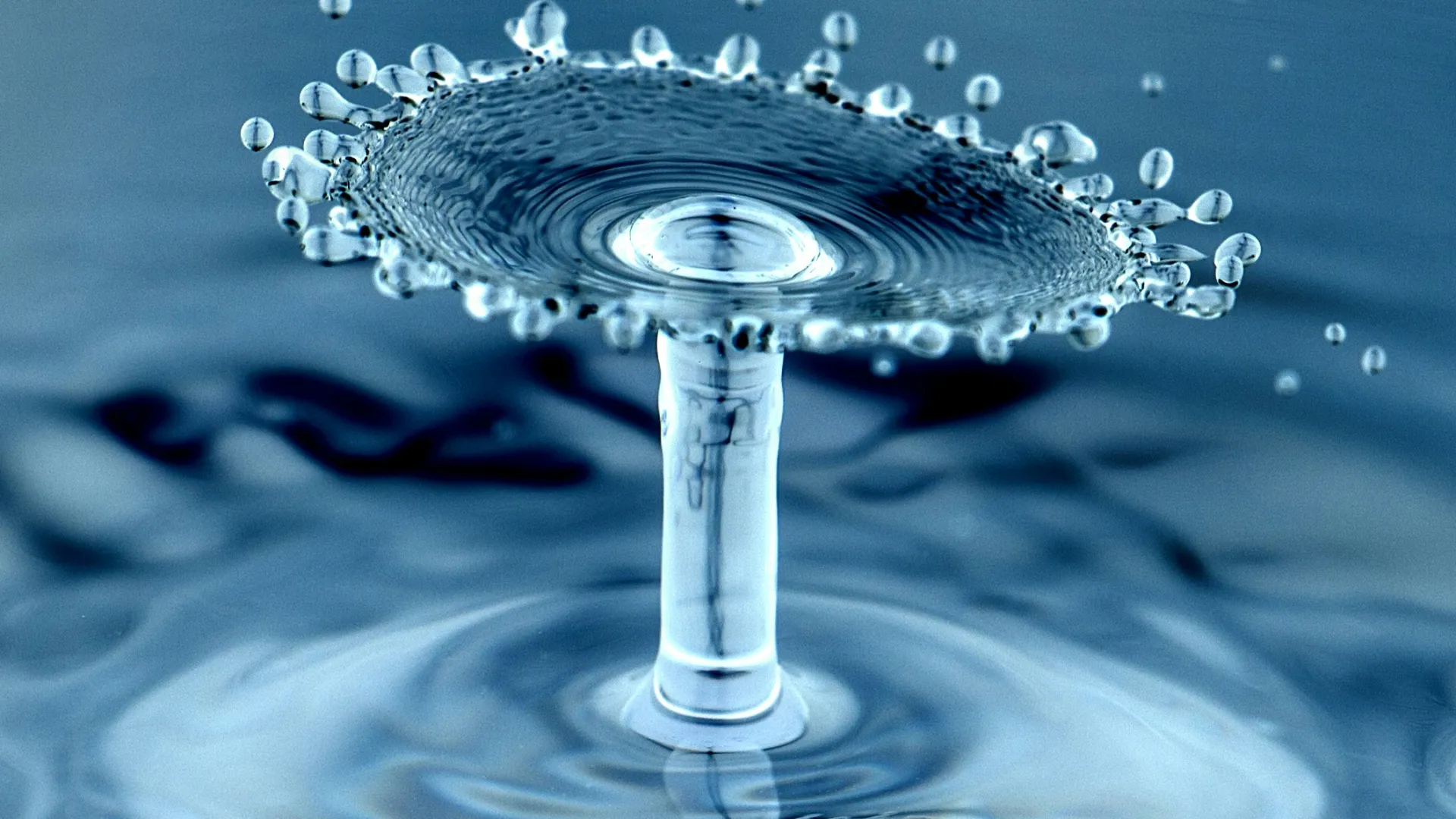 5 point inspection, Atlanta Residential and Commercial Inspections, Atlanta Property Inspections, Commercial Property Inspections, Atlanta  Commercial Property Inspector, 5 point inspections