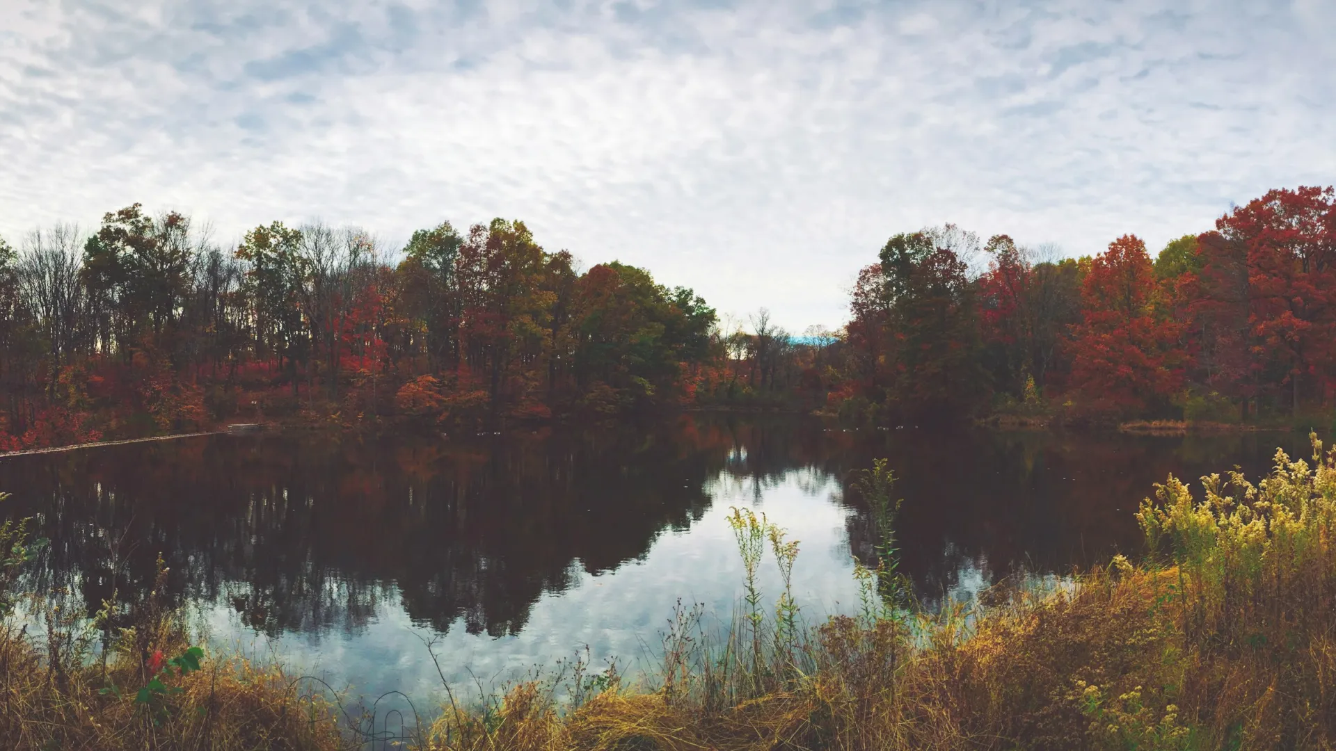 Home Inspectors in Brookhaven, GA, DeKalb County, 30319 Home Inspections, Certified Home Inspectors, Residential and Commercial Home Inspections in Brookhaven, GA, DeKalb County, 30319