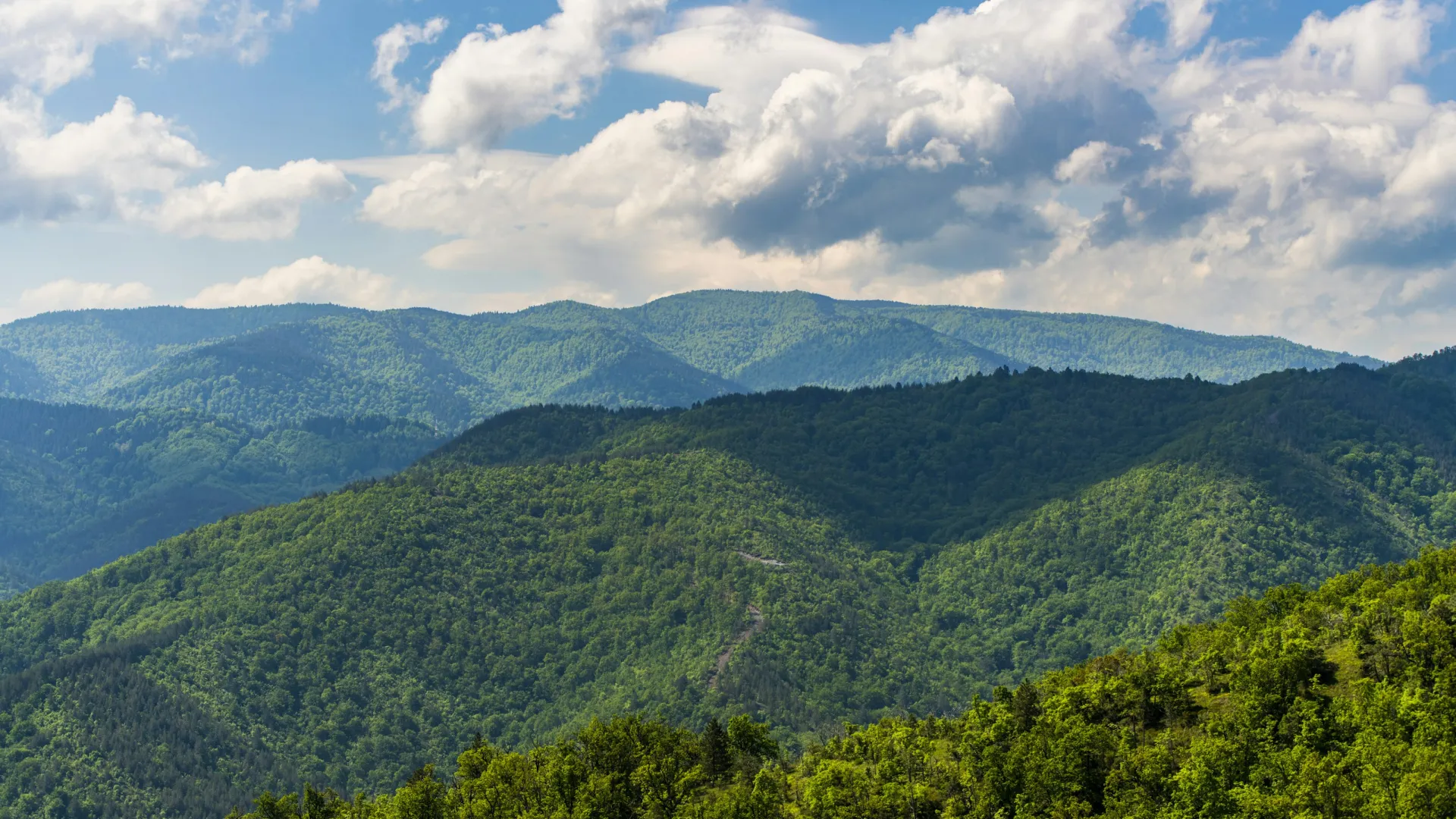 Home Inspectors in Stem, NC, Granville, 27581 Home Inspections, Certified Home Inspectors, Residential and Commercial Home Inspections in Stem, NC, Granville, 27581