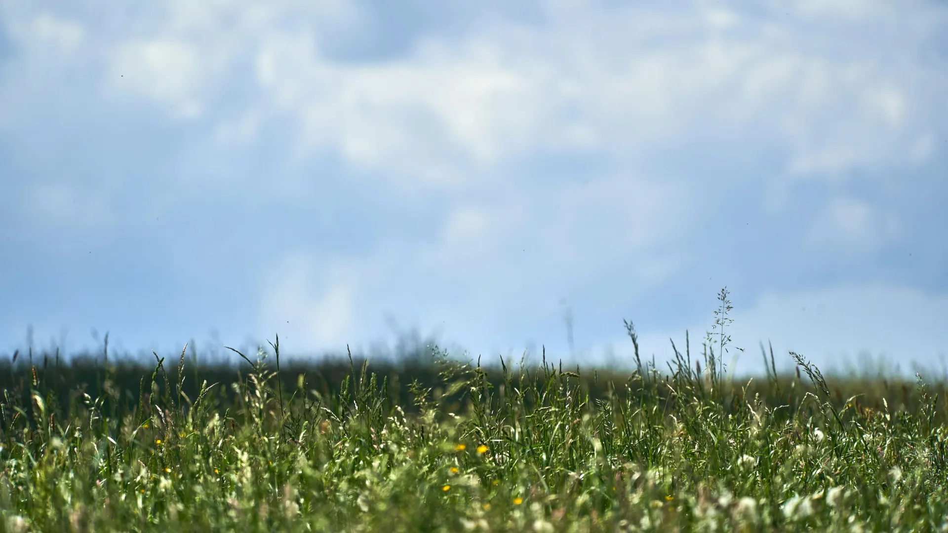 Home Inspectors in Kipling, NC, Harnett, 27543 Home Inspections, Certified Home Inspectors, Residential and Commercial Home Inspections in Kipling, NC, Harnett, 27543