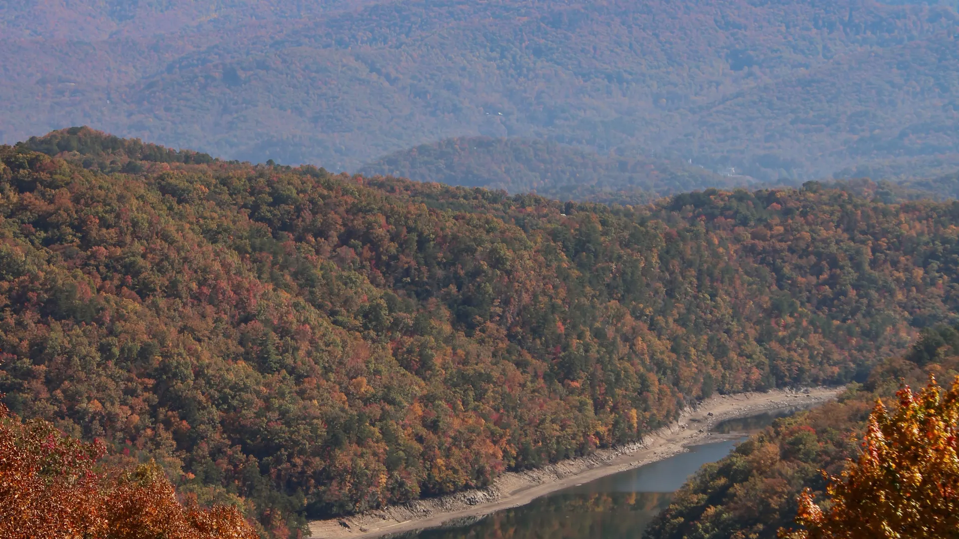 Home Inspectors in Stedman, NC, Cumberland, 28391 Home Inspections, Certified Home Inspectors, Residential and Commercial Home Inspections in Stedman, NC, Cumberland, 28391