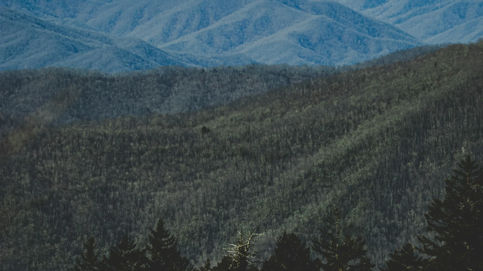 Forest-covered hills with a backdrop of blue mountain ranges under a clear sky at daylight.Home Inspectors in Morven, NC, Anson County, 28119 Home Inspections, Certified Home Inspectors, Residential and Commercial Home Inspections in Morven, NC, Anson County, 28119