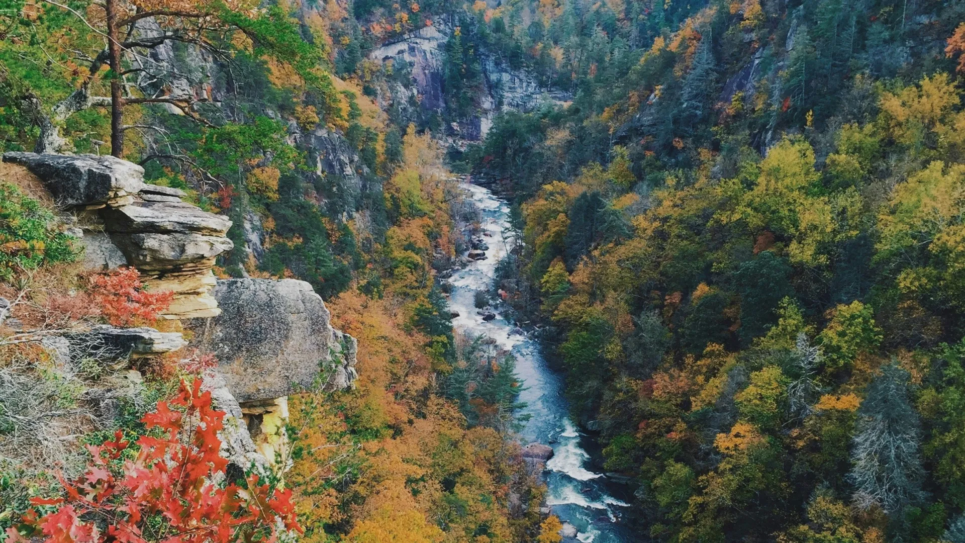 Home Inspectors in Harrison, Tennessee, Hamilton County, 37341 Home Inspections, Certified Home Inspectors, Residential and Commercial Home Inspections in Harrison, Tennessee, Hamilton County, 37341