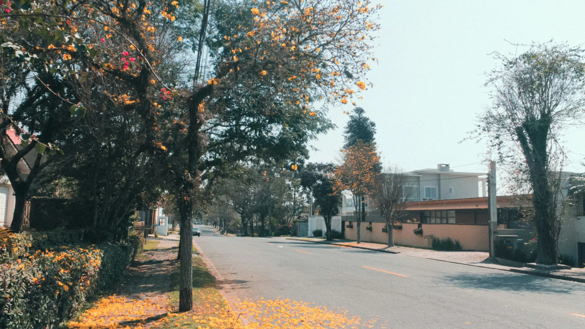 Home Inspectors in Dry Branch, Georgia, Wilkinson County, 31090 Home Inspections, Certified Home Inspectors, Residential and Commercial Home Inspections in Dry Branch, Georgia, Wilkinson County, 31090