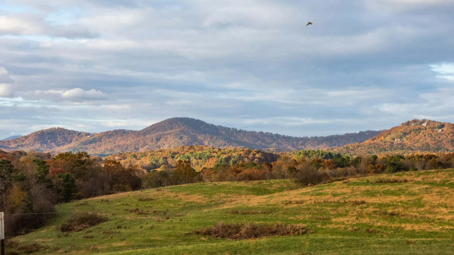 Residential and Commercial Inspection in Tate, Tate Home Inspections, Tate Home Inspector, a home pro inspector in Tate, FAA Certified Drone Inspections in Tate, Sewer Scope Inspections in Tate, FAQs