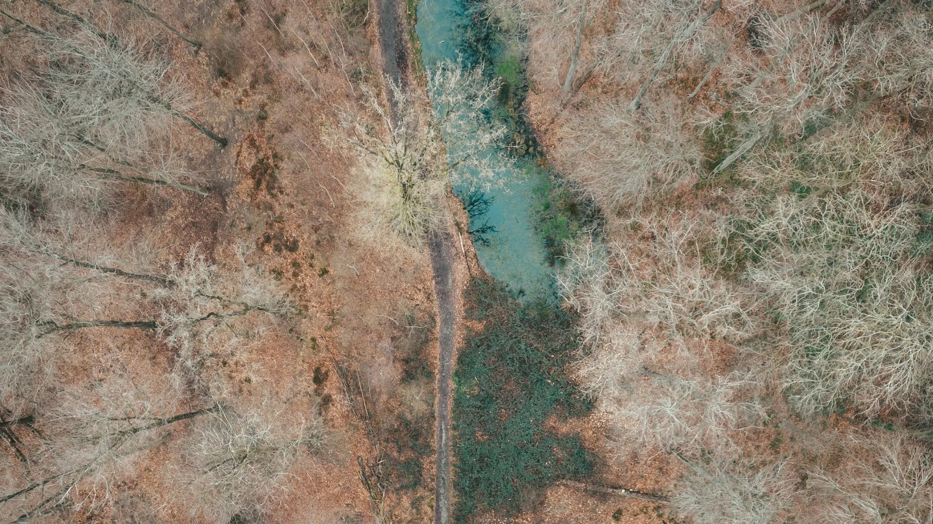 Home Inspectors in Sale Creek, TN, Hamilton County, 37373 Home Inspections, Certified Home Inspectors, Residential and Commercial Home Inspections in Sale Creek, TN, Hamilton County, 37373