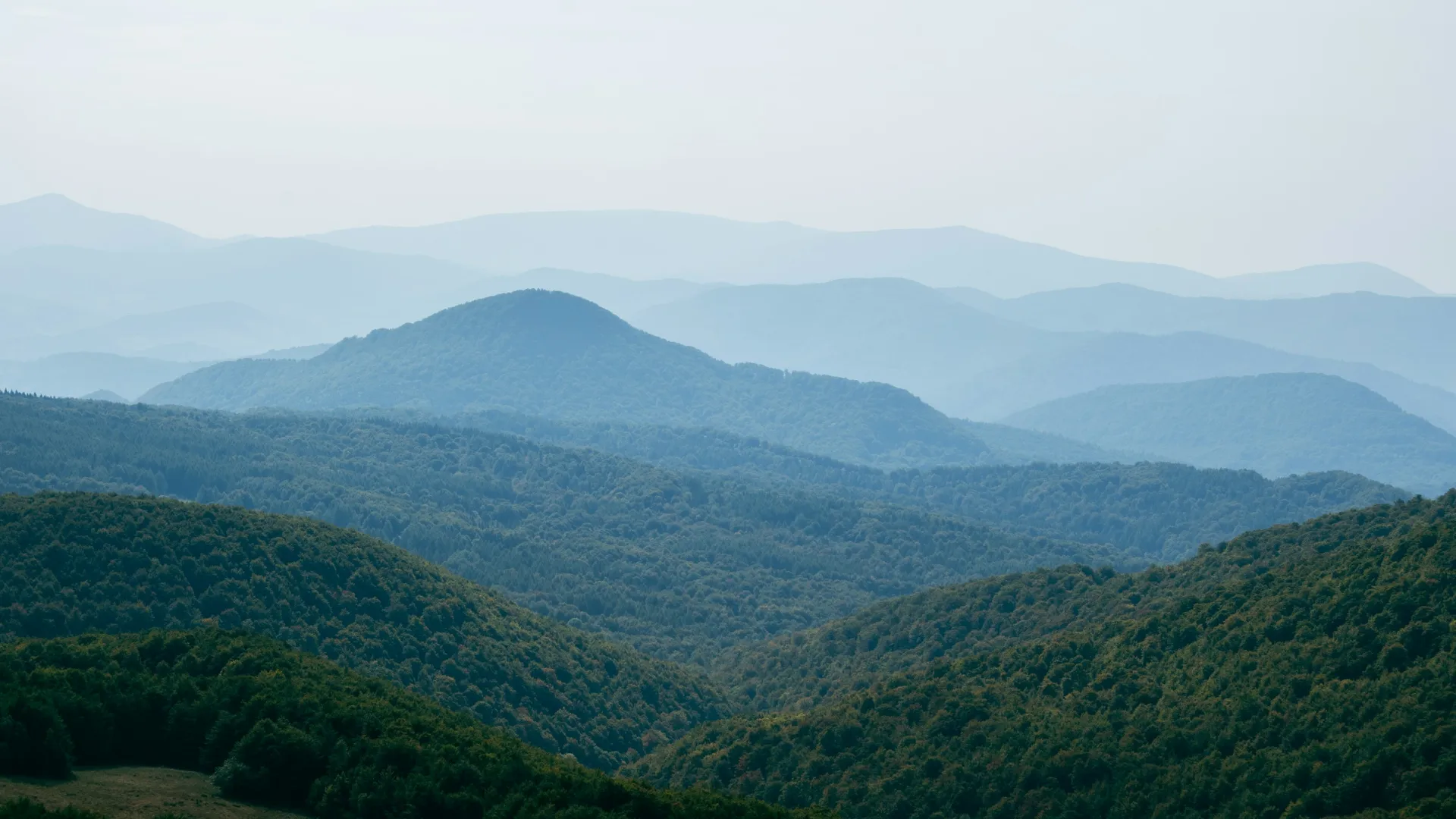 Home Inspectors in Kinards, SC, Newberry, 29355 Home Inspections, Certified Home Inspectors, Residential and Commercial Home Inspections in Kinards, SC, Newberry, 29355